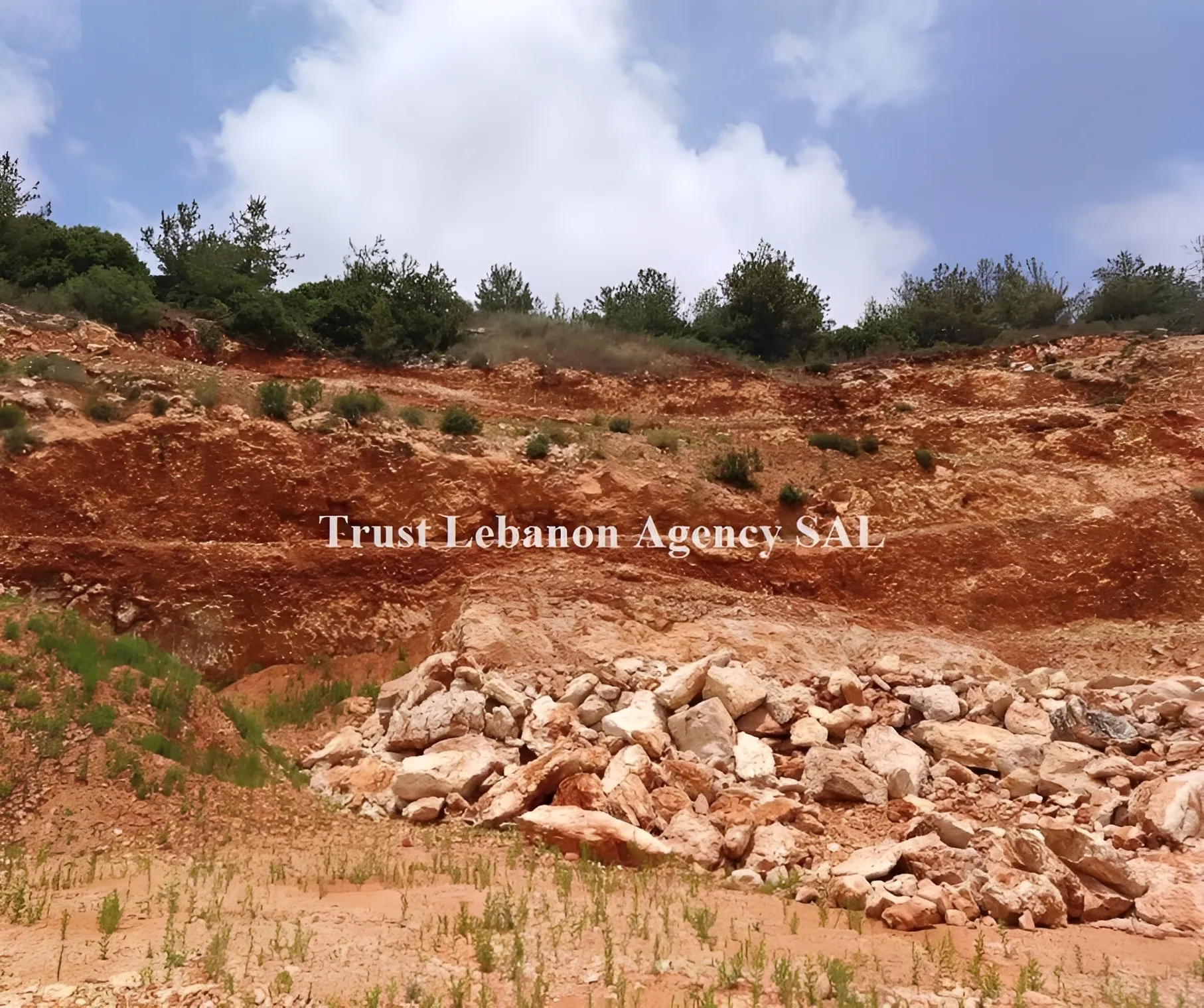 Land for Sale in Chouf Debbieh Lebanon