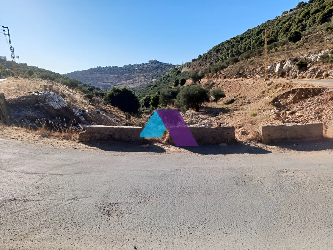 Land for Sale in Assia