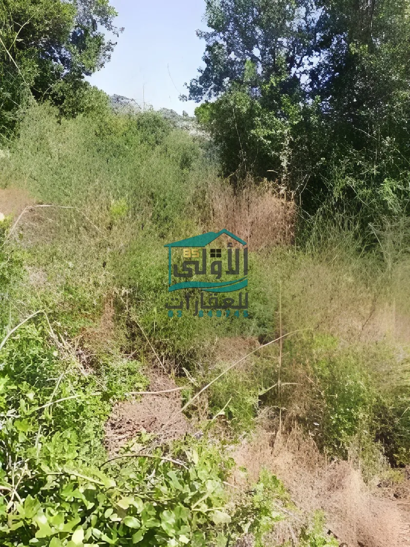 Land in دقون، lebanon