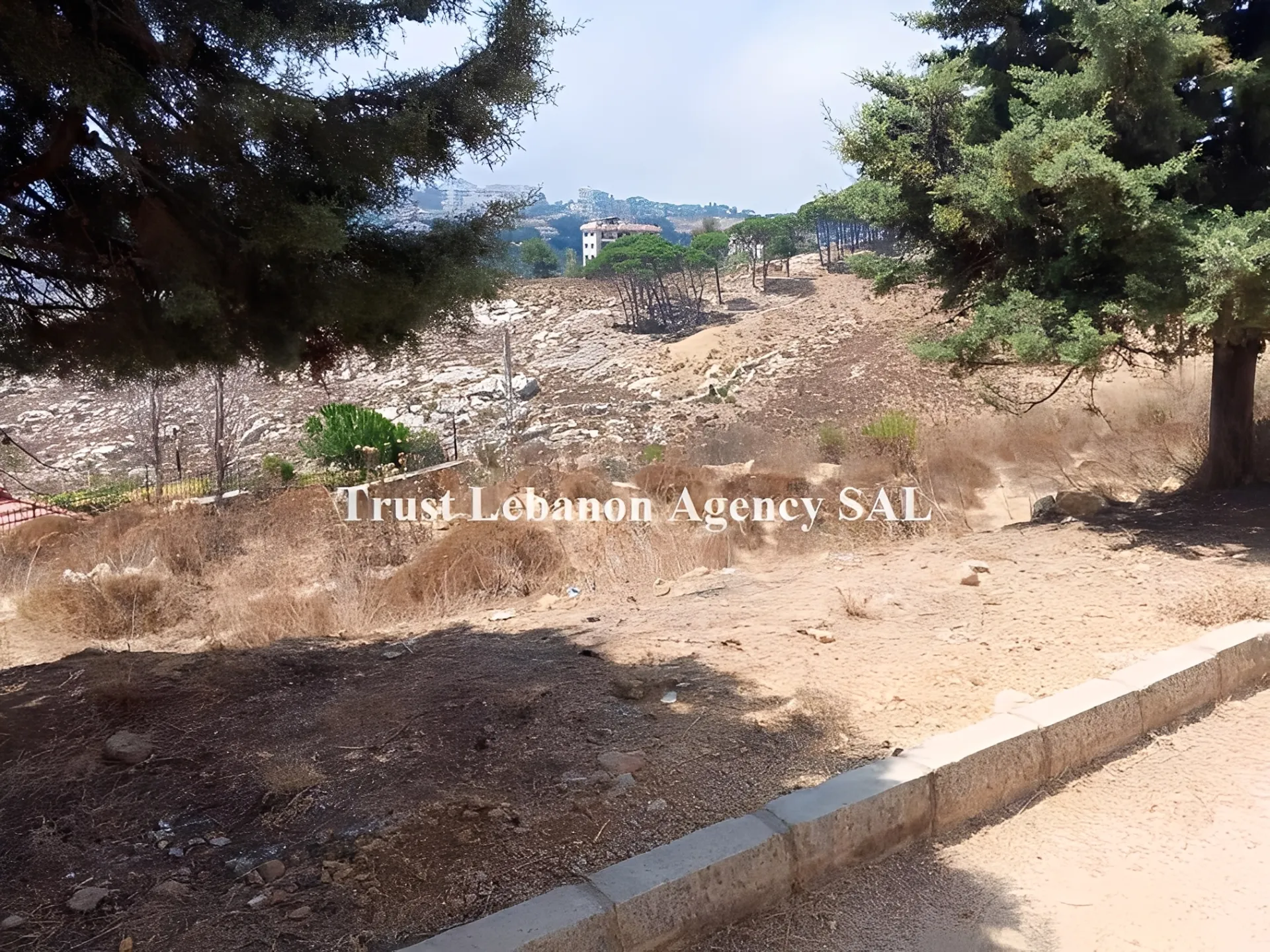 Land for Sale in Souq El Gharb