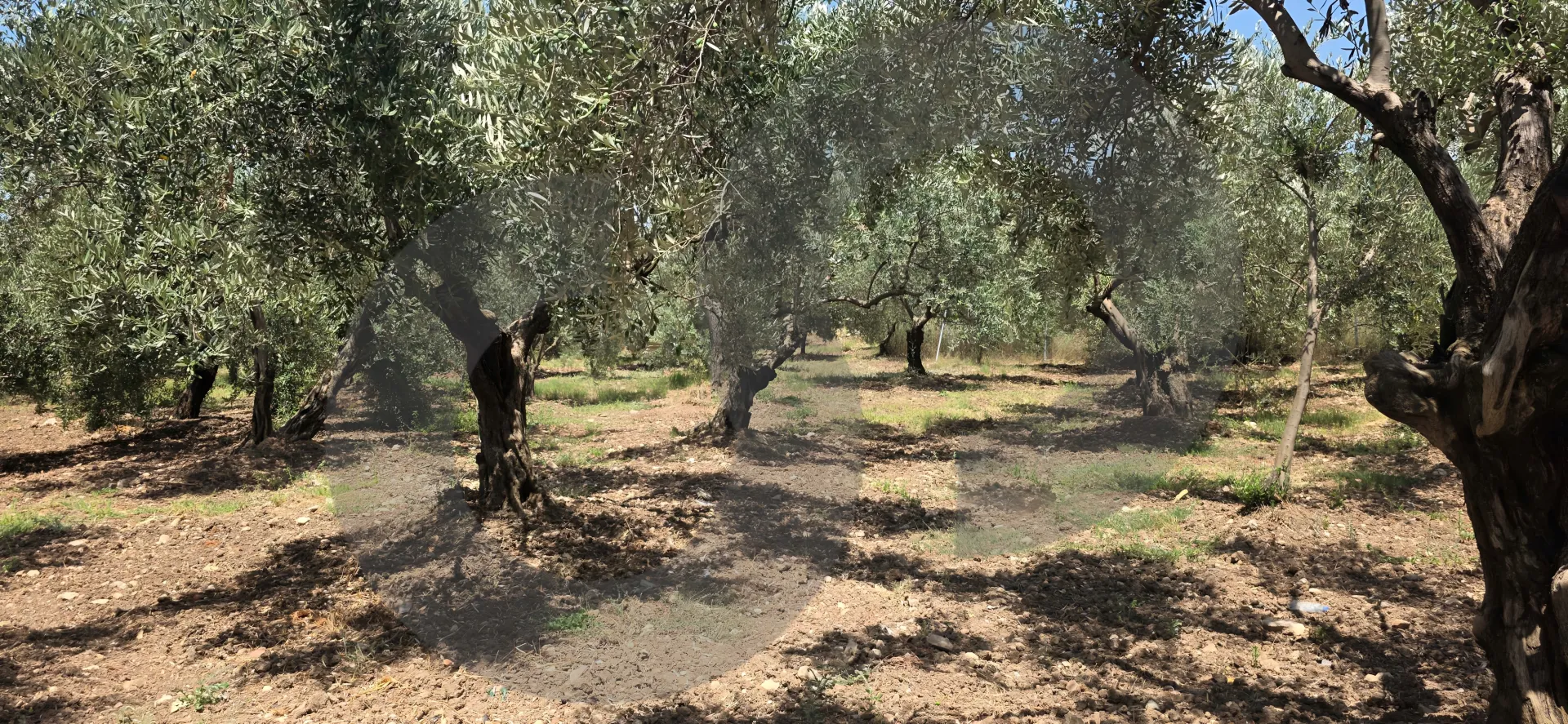 Land for Sale in Kfarsaroun