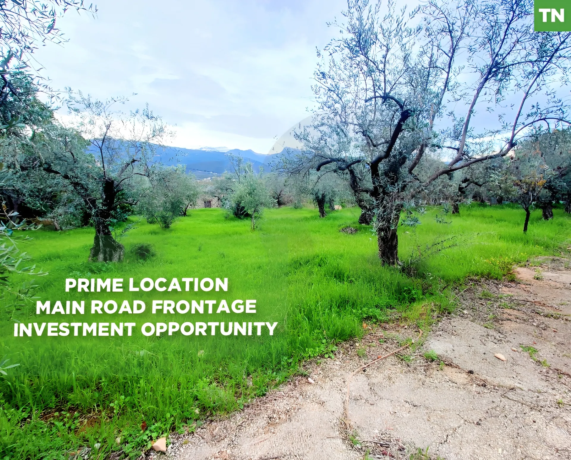 Land for Sale in Zgharta