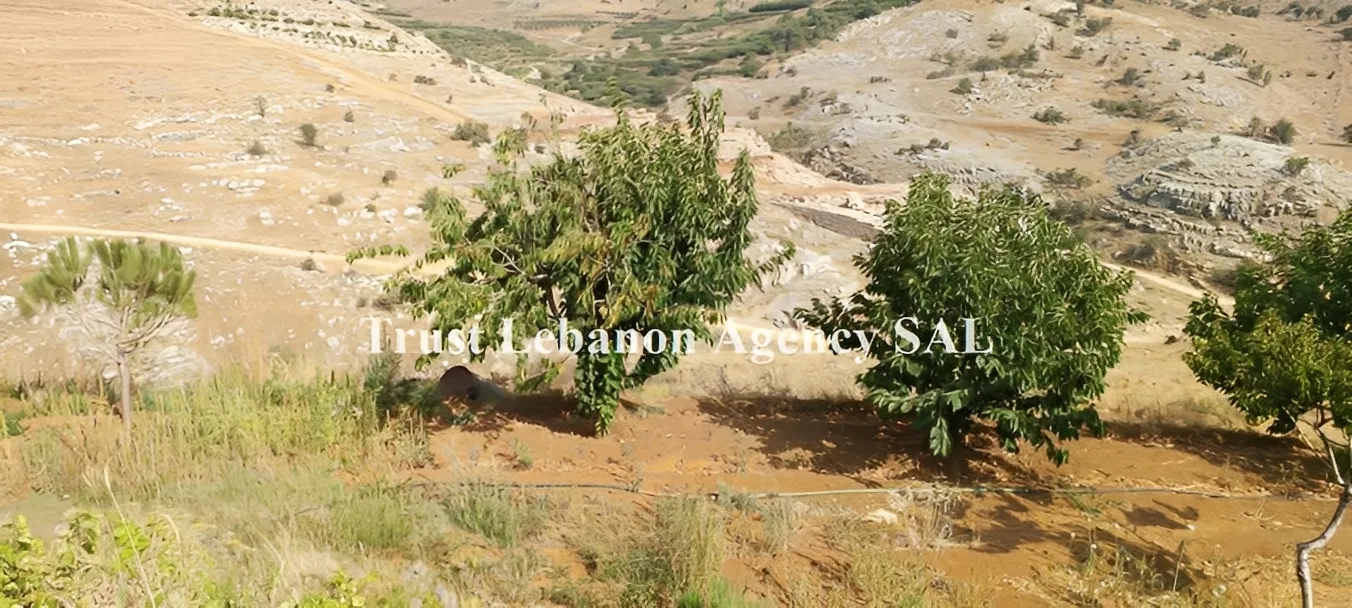 Land for Sale in Ain Dara Alay