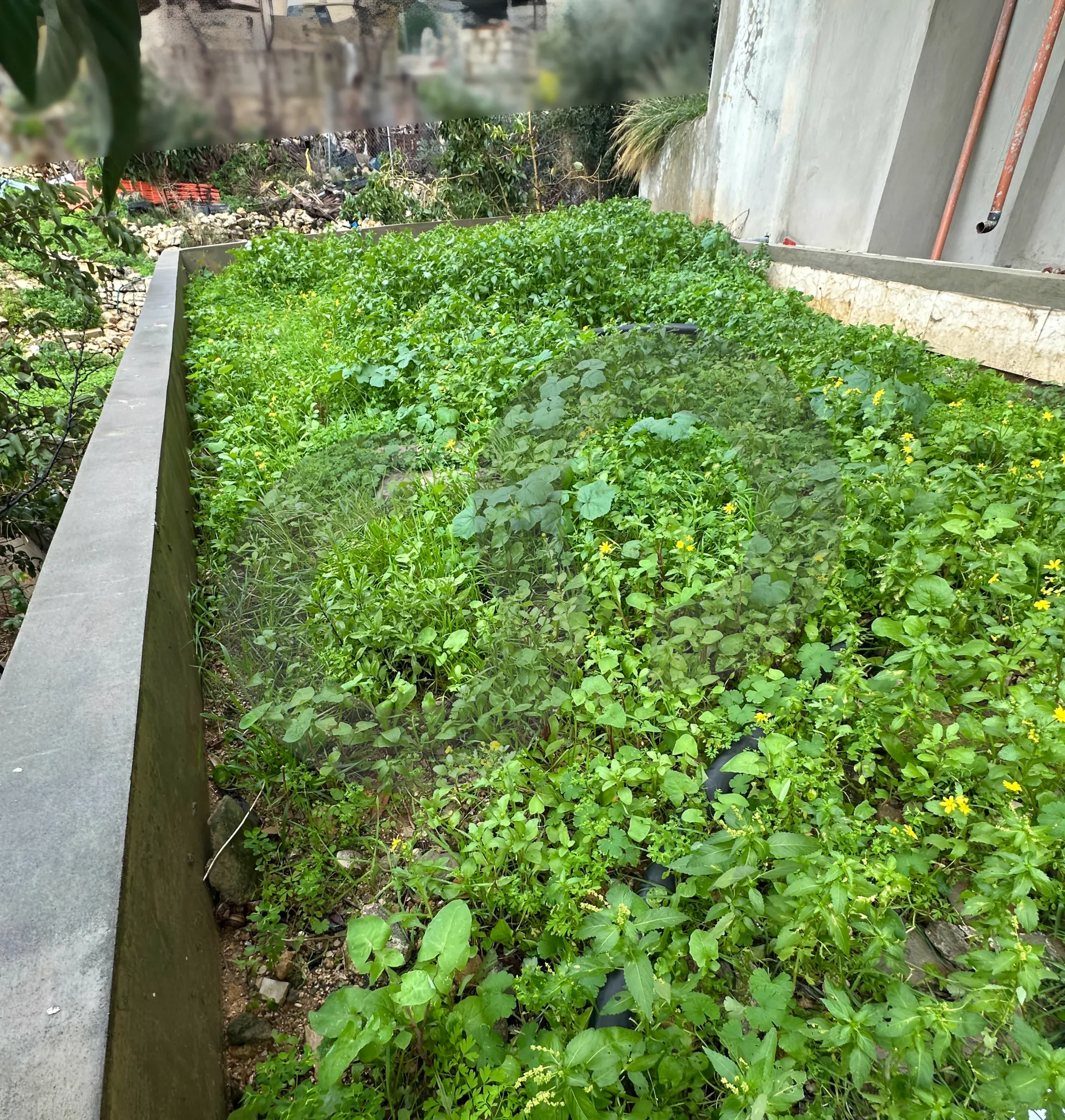 Apartment for Sale in Halat