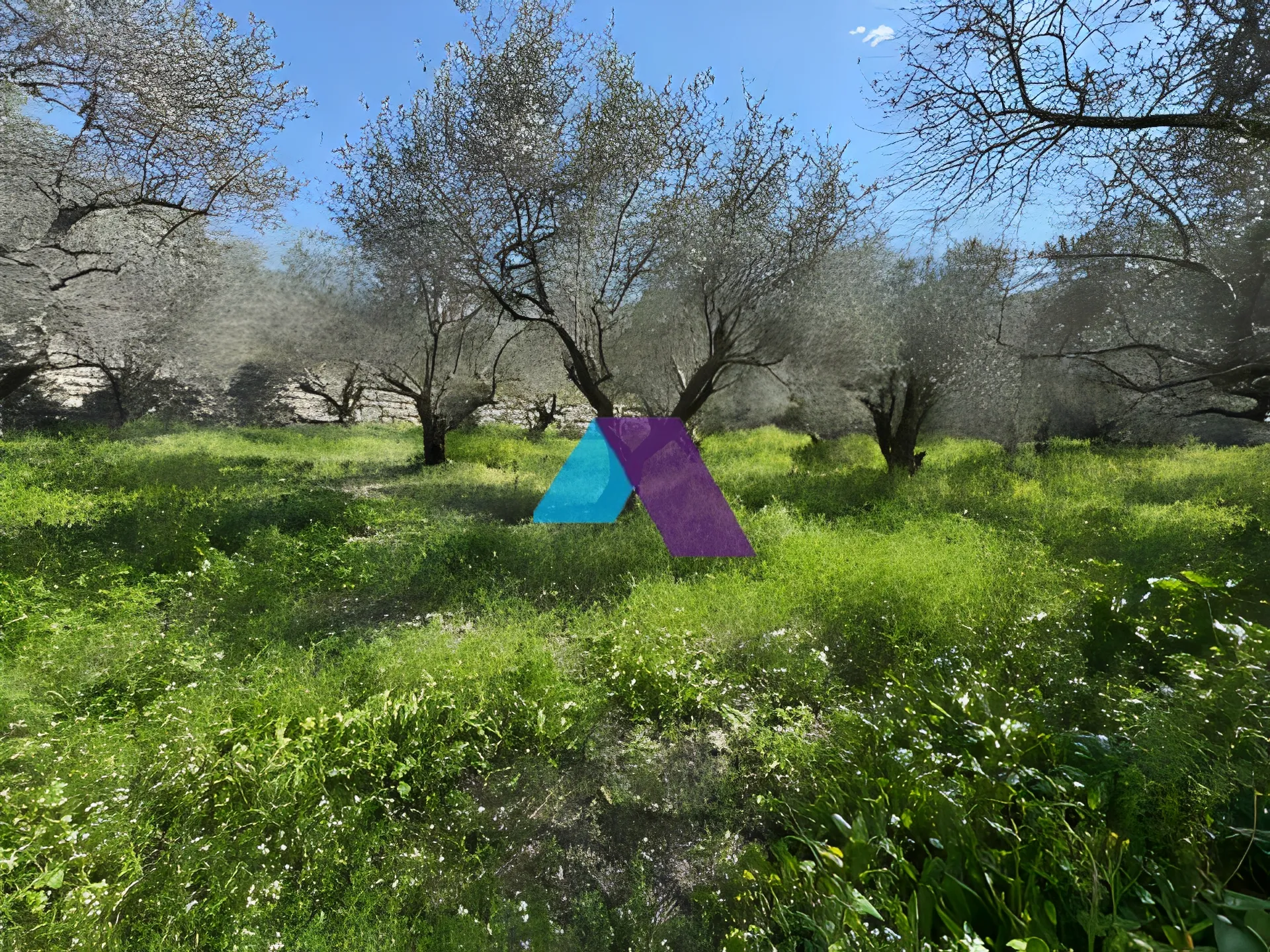 Land for Sale in Rihani