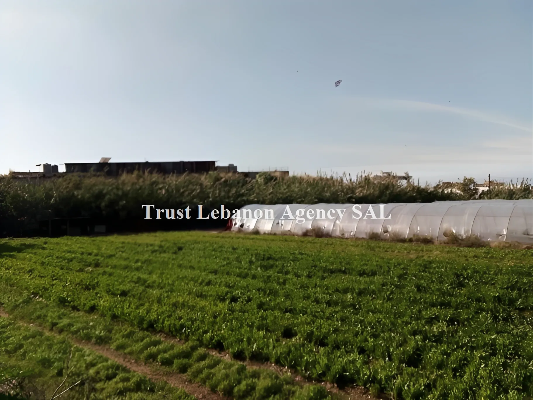 Land for Sale in Alay, chweifat