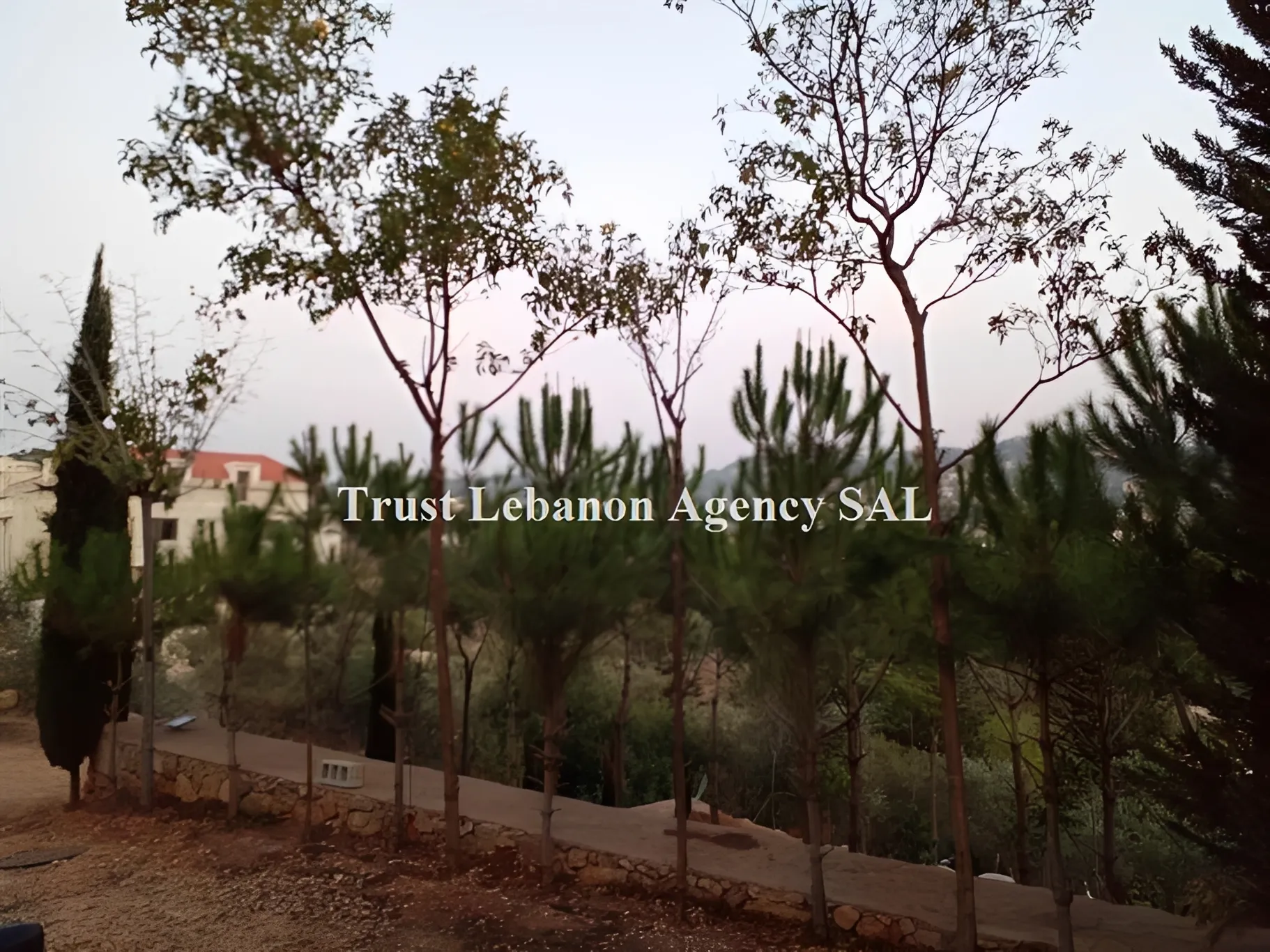 Land for Sale in Chouf Chahim