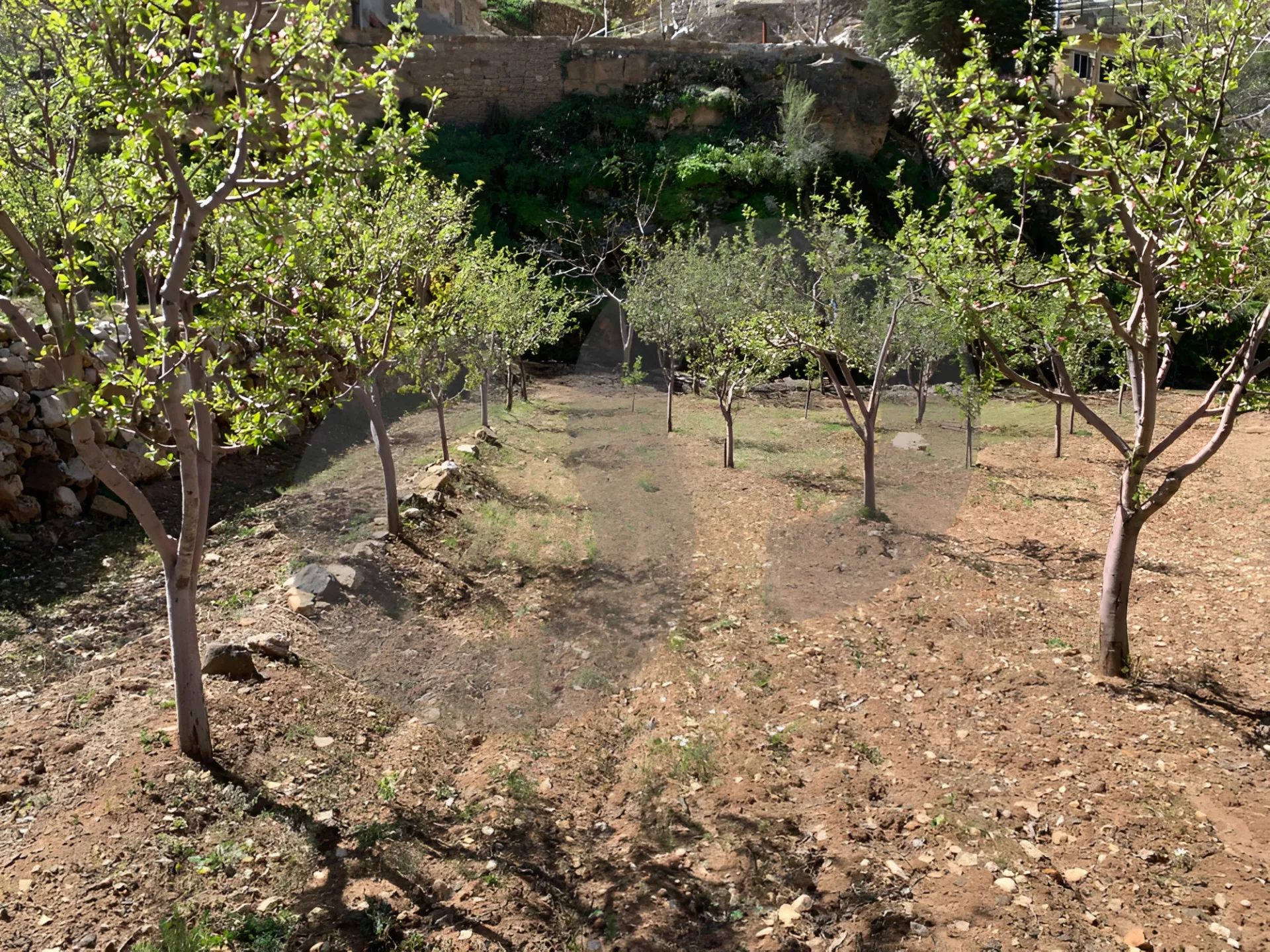 Land for Sale in Tannourine El Tahta