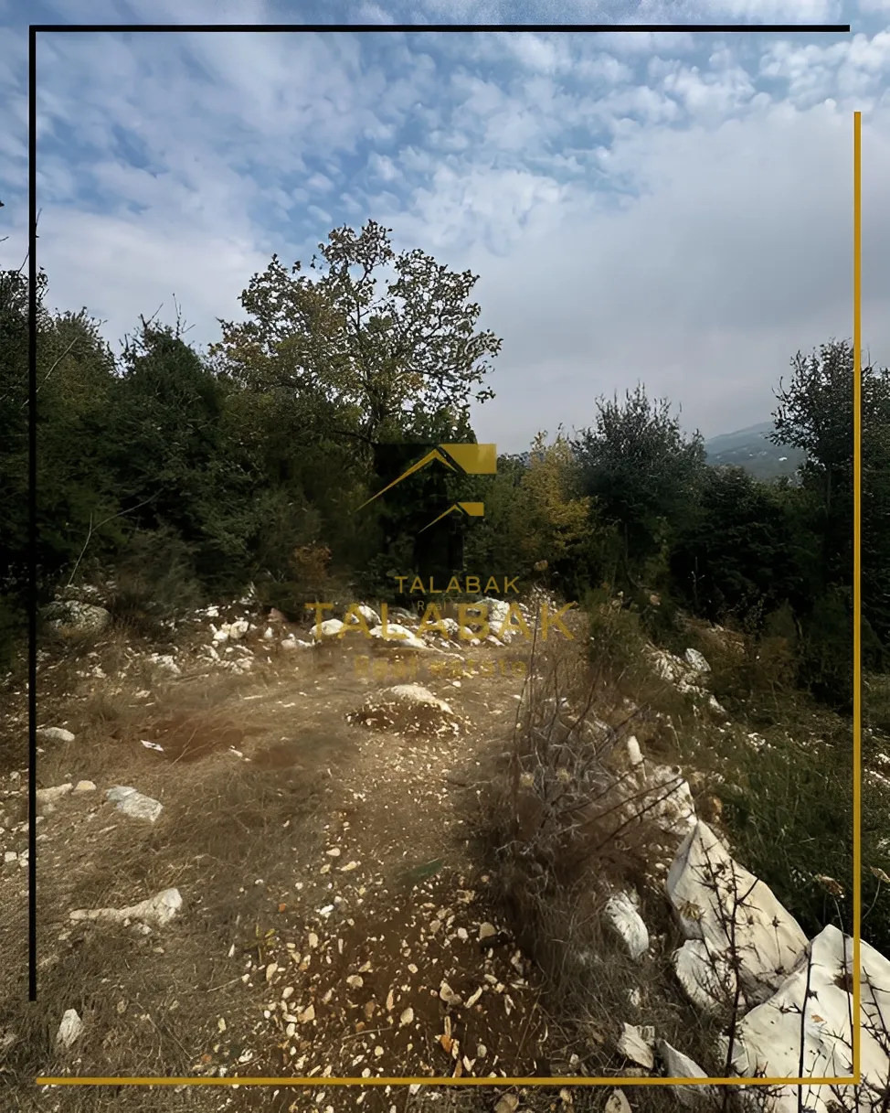 Land for Sale in Mechmech, Lebanon