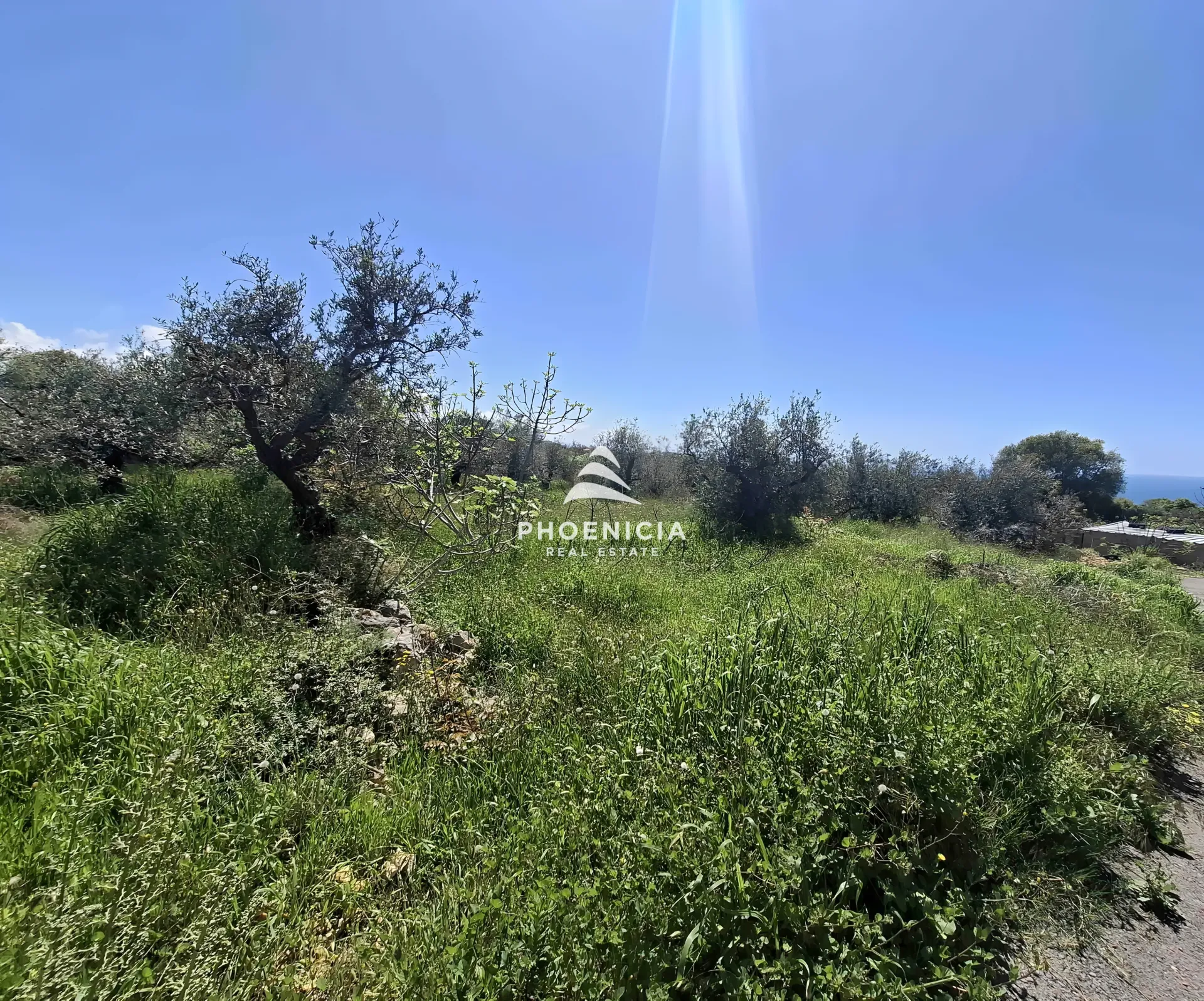 Land for Sale in Monsef