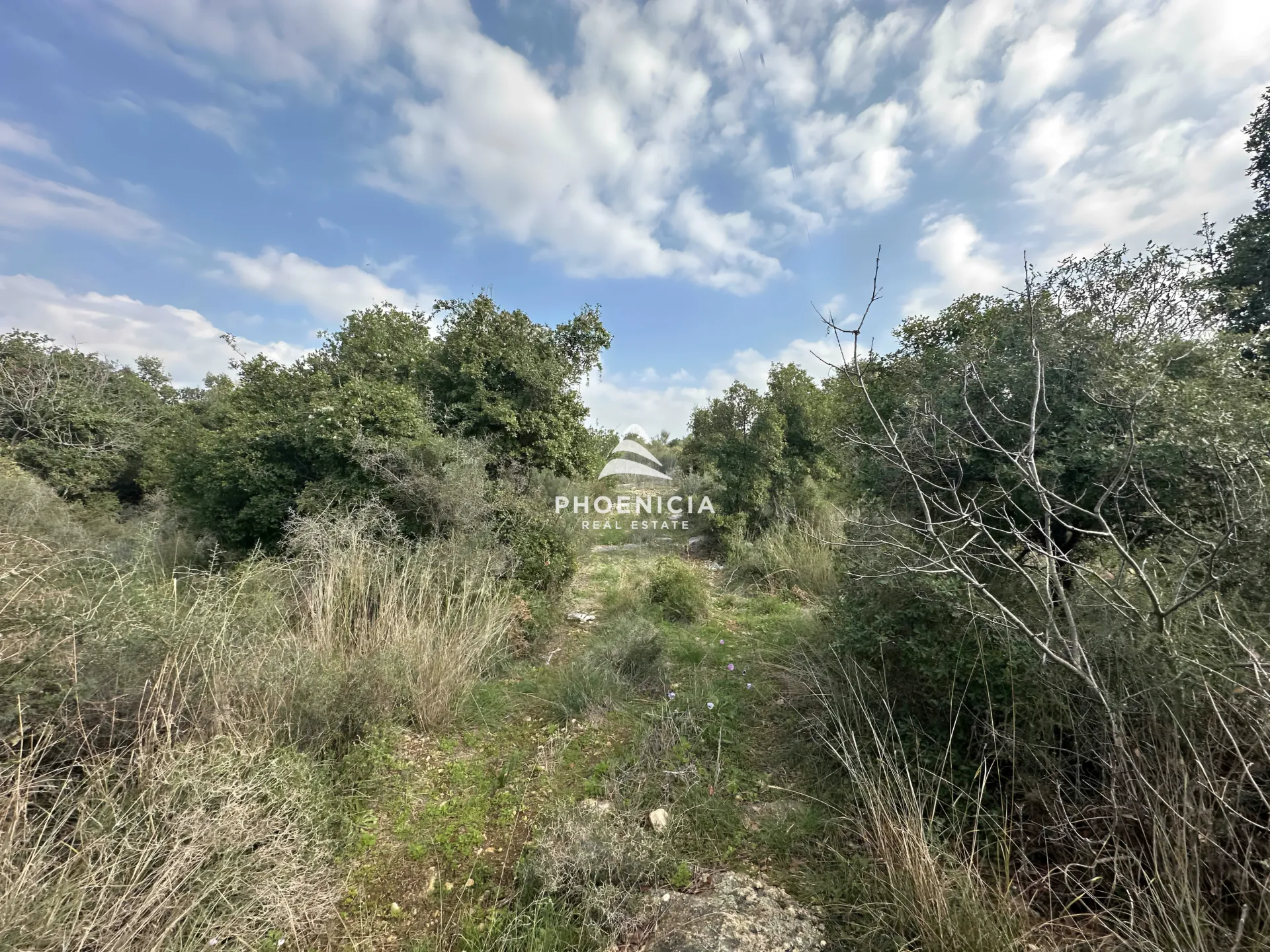 Land for Sale in Bejjeh