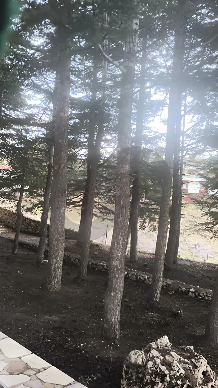 Chalet for Rent in Ariz