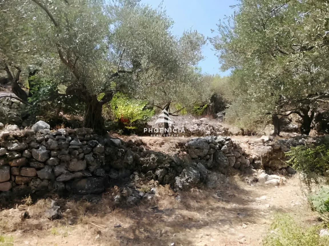 Land for Sale in Monsef
