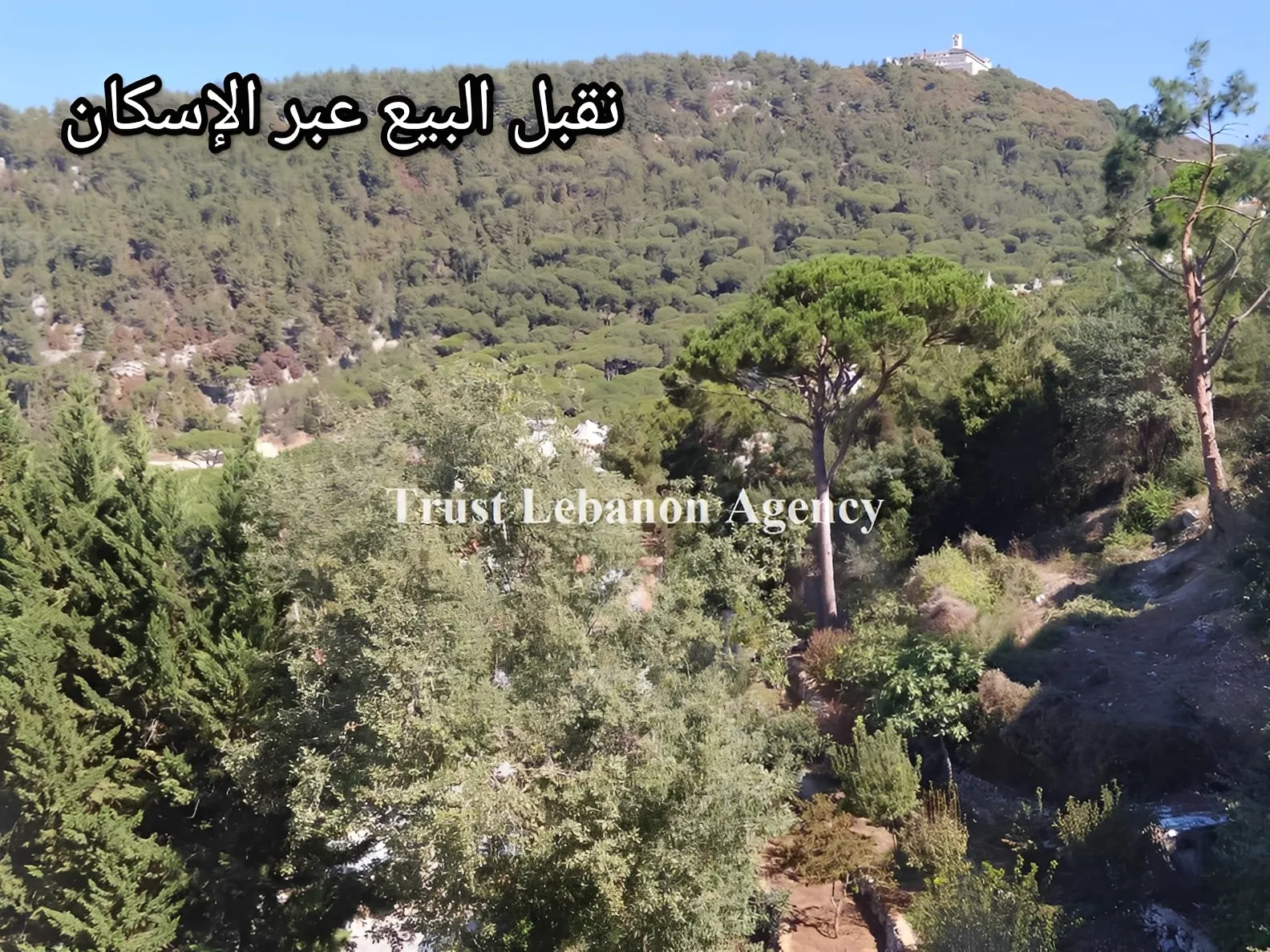 Duplex for Sale in Metn Jouret El Ballout Lebanon