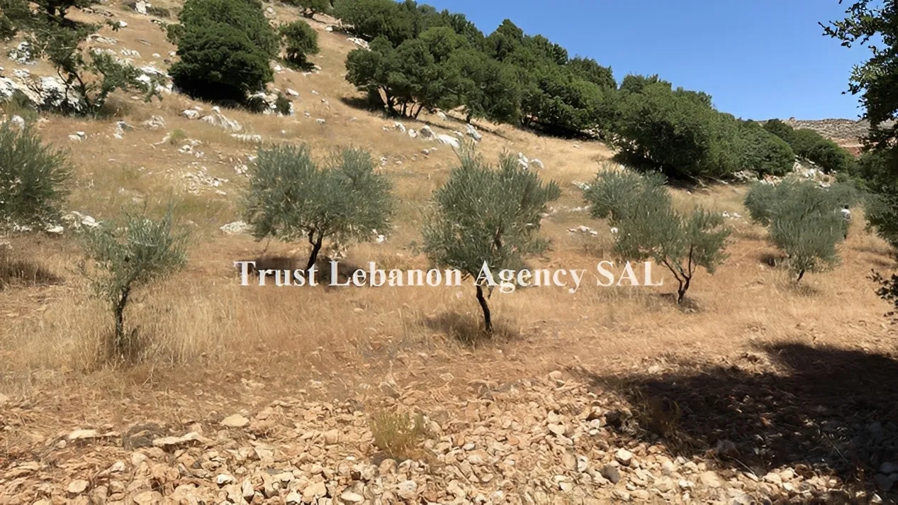 Land for Sale in Rashaya, Kawkaba