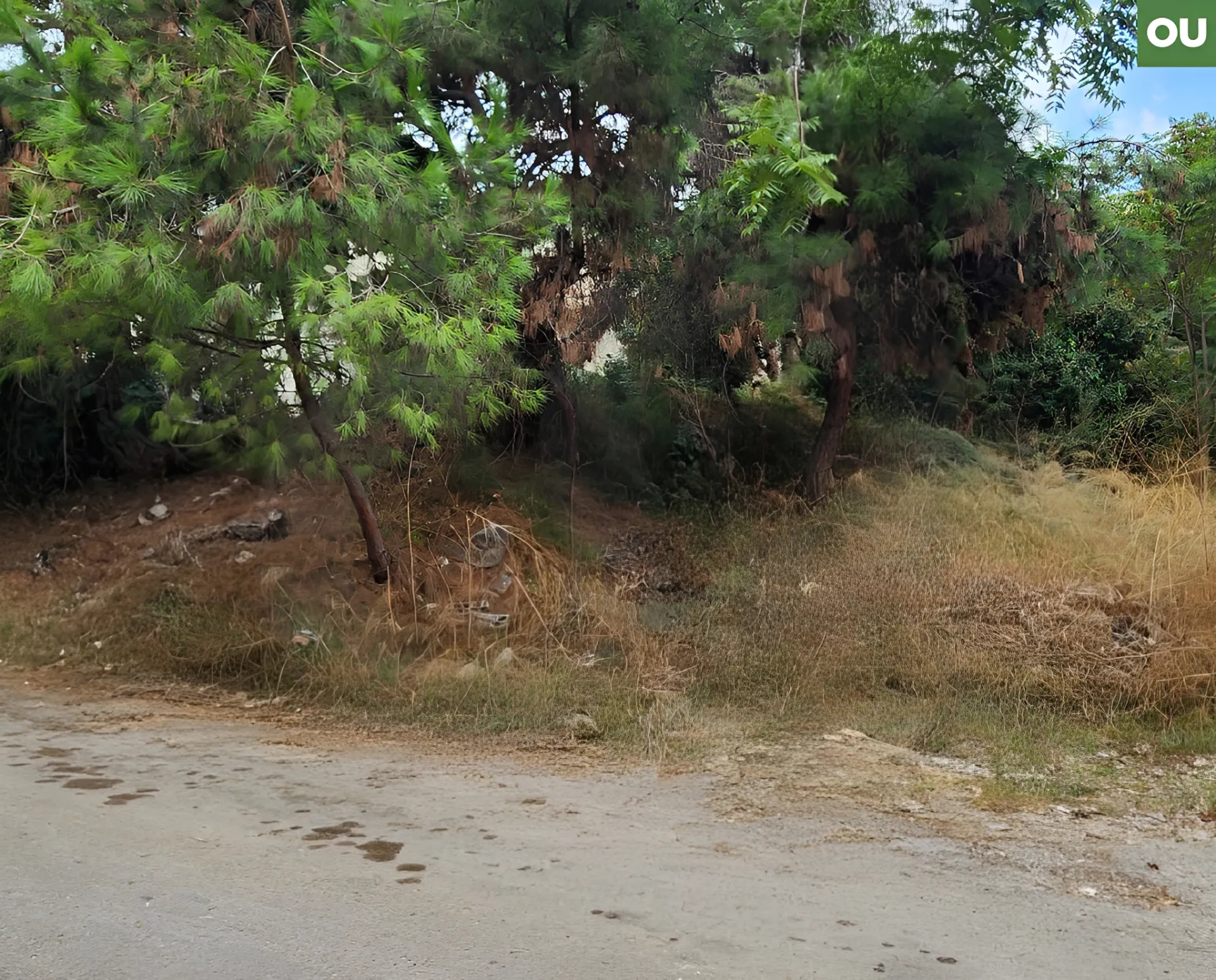 Land for Rent in Mazraat Yachoua