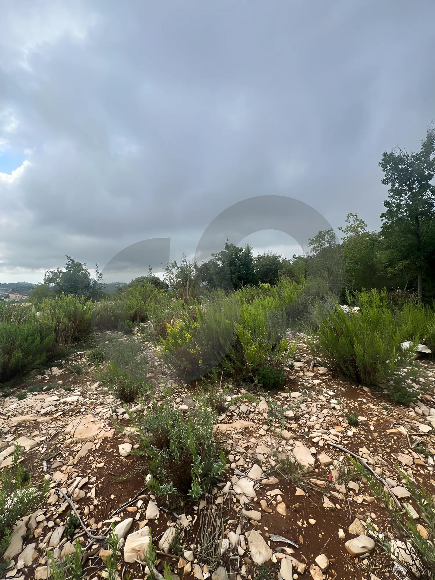 Land for Sale in Mechmech