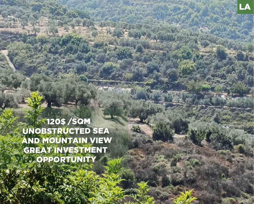 Land for Sale in Sidon
