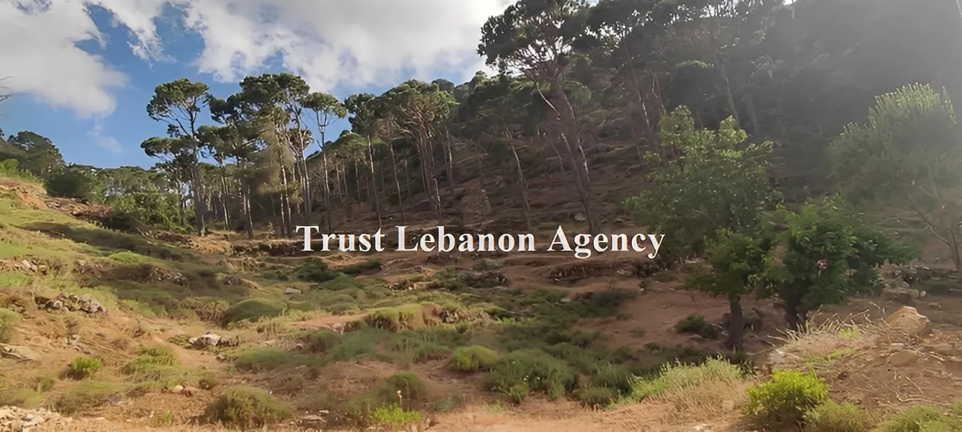 Land for Sale in Hasbaya Lebanon