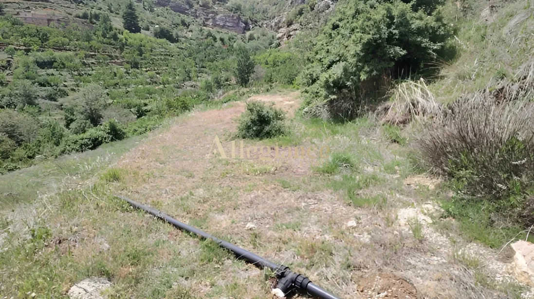 Residential Land for sale in Tannoura, Lebanon