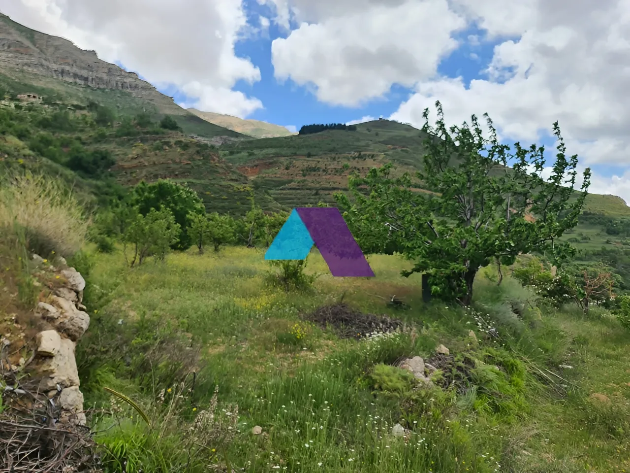 Land for Sale in Batroun