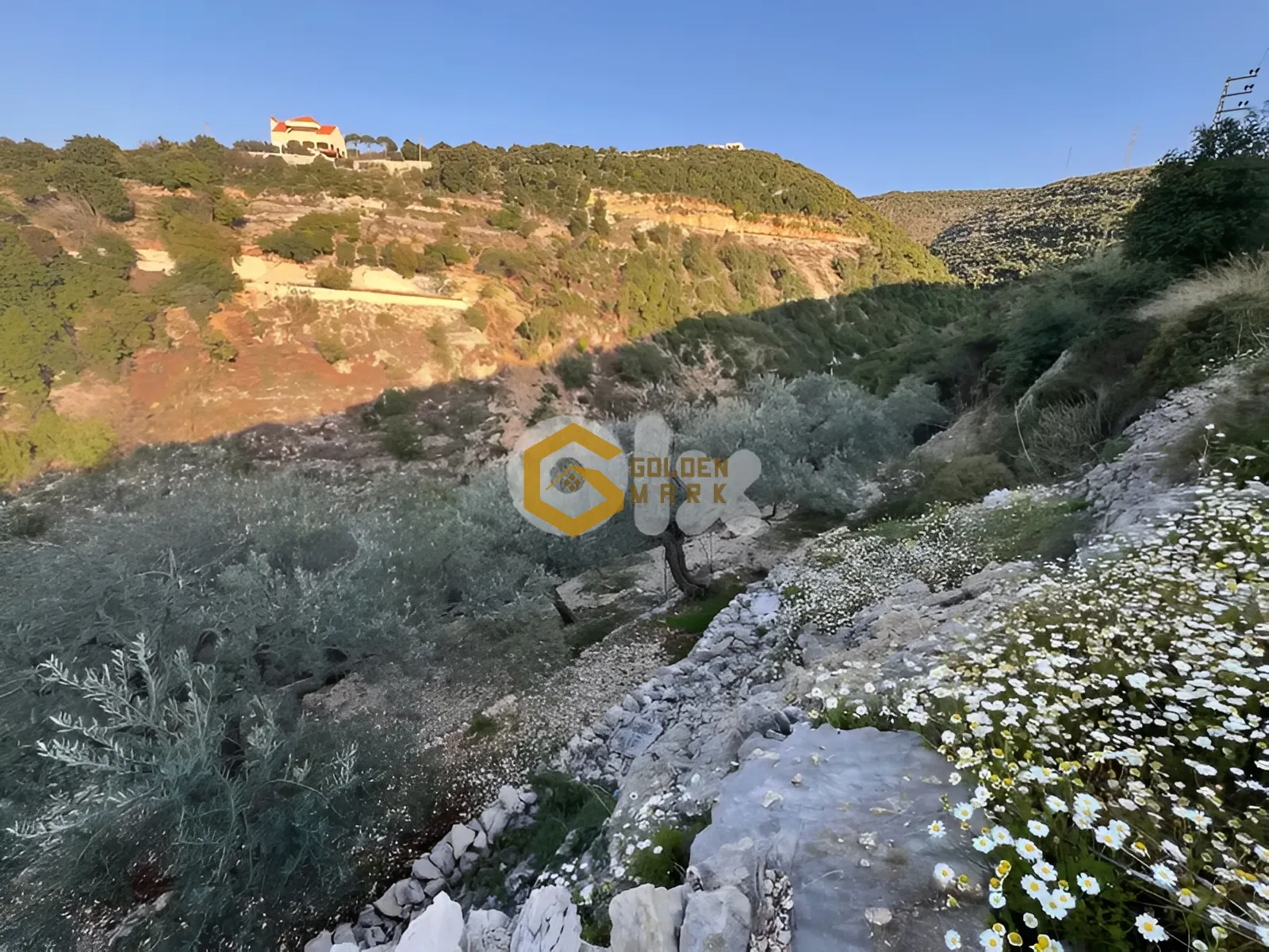Land for Sale in Chabtine