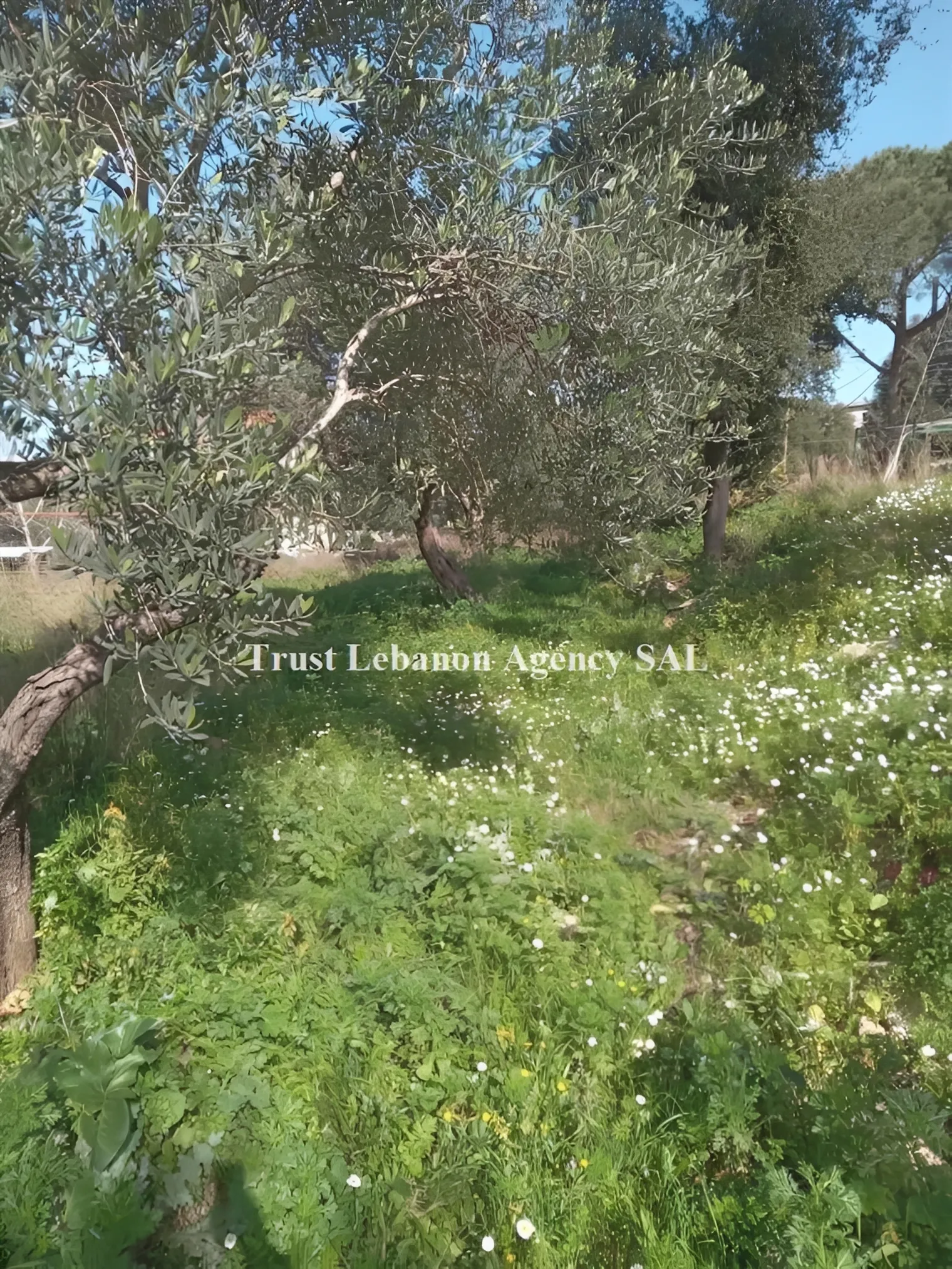 Land for Sale in Metn Miyesseh Lebanon