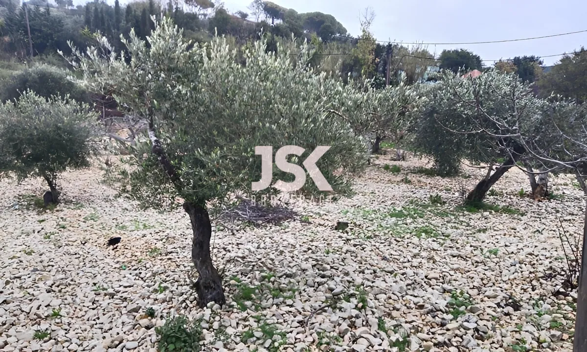 Land for Sale in Jrebta, Lebanon