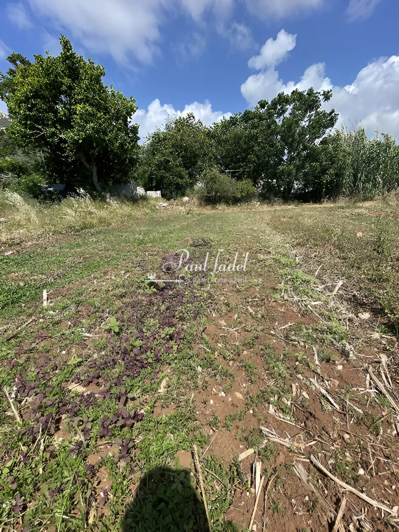 Land for sale in Batroun, lebanon