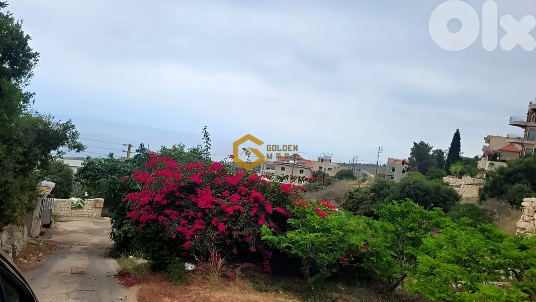 Land for Sale in Berbara
