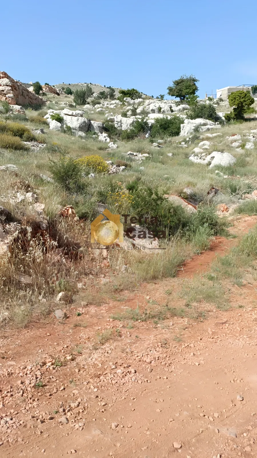 Land for Sale in Qaa el Rim 860 Sqm
