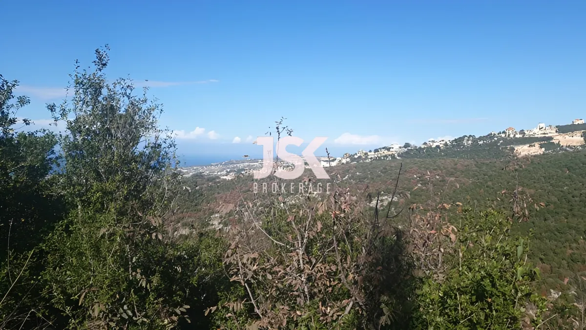 Land for Sale in Habboub, Lebanon