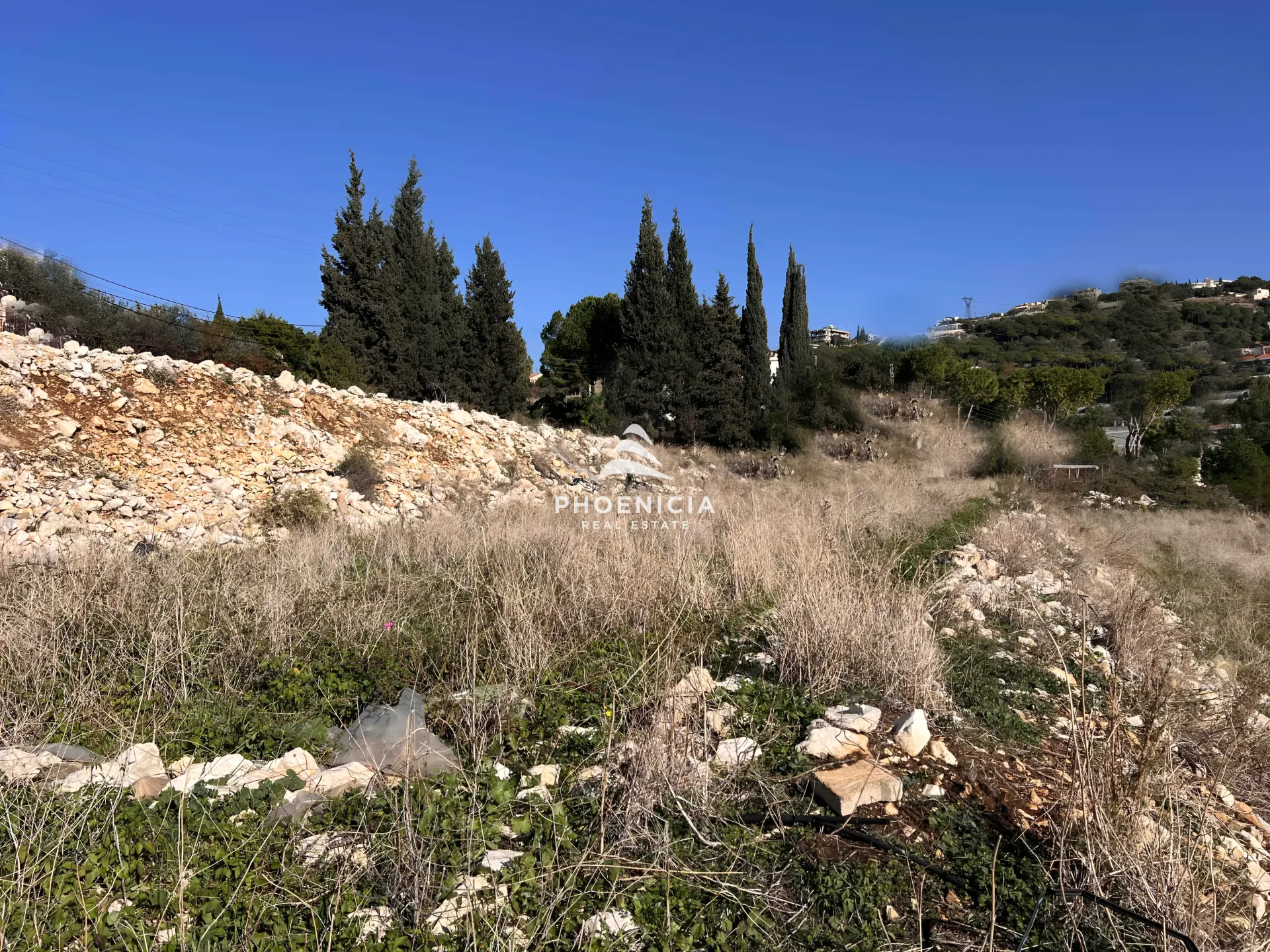 Land for Sale in Edde