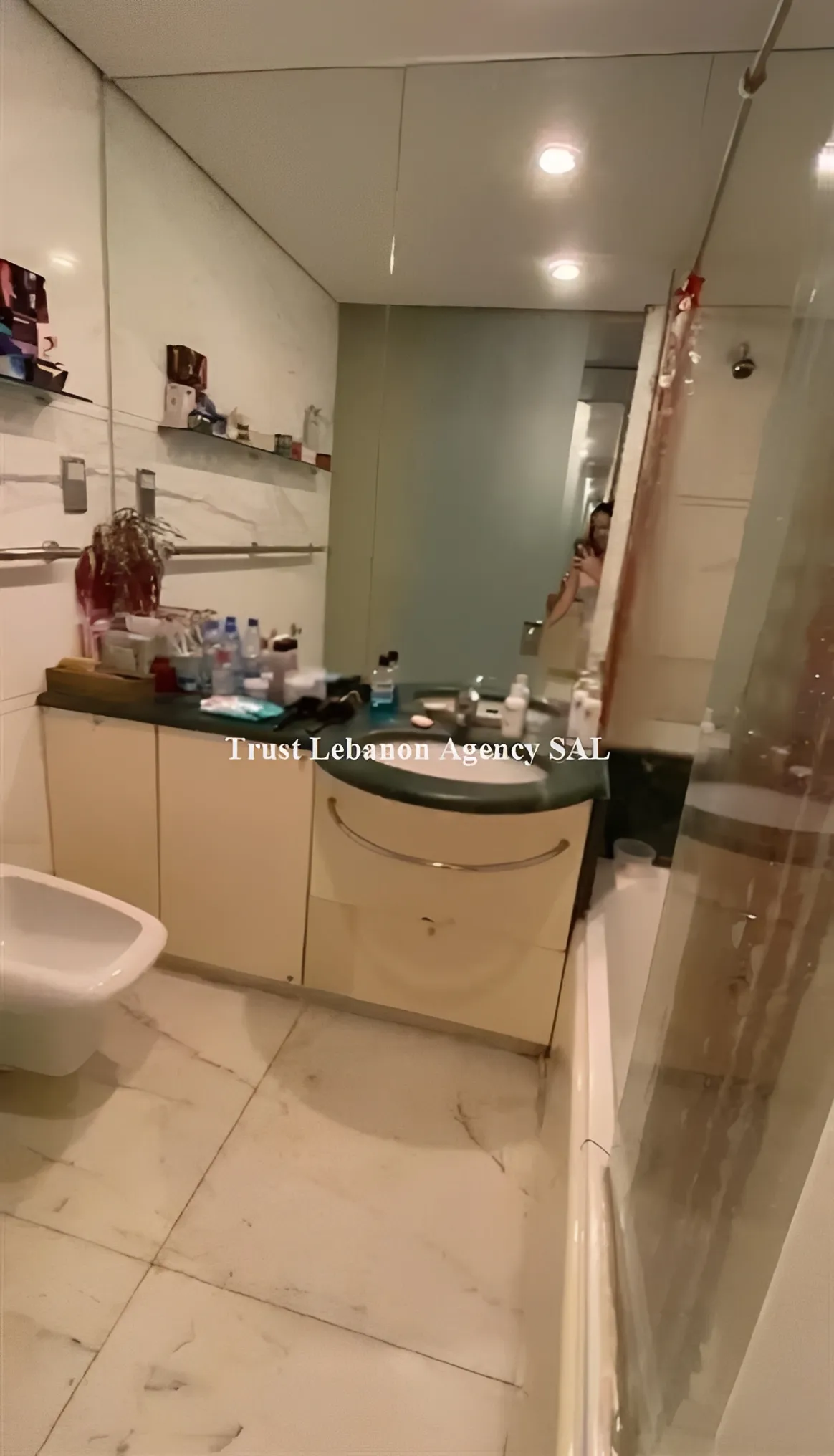 Apartment for Rent in Beirut Lebanon