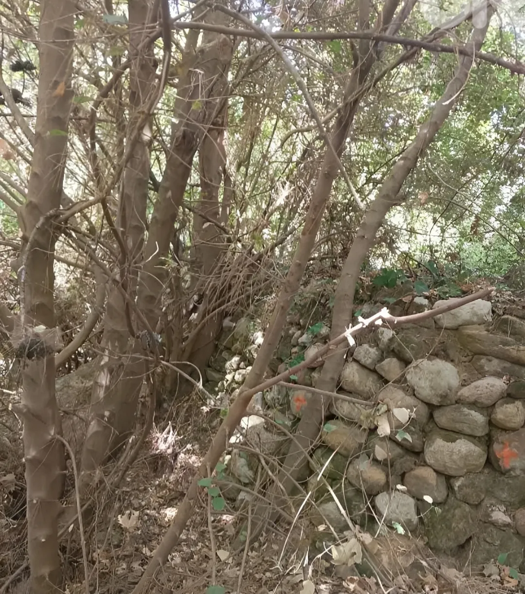 Land in نبع الصفا، lebanon