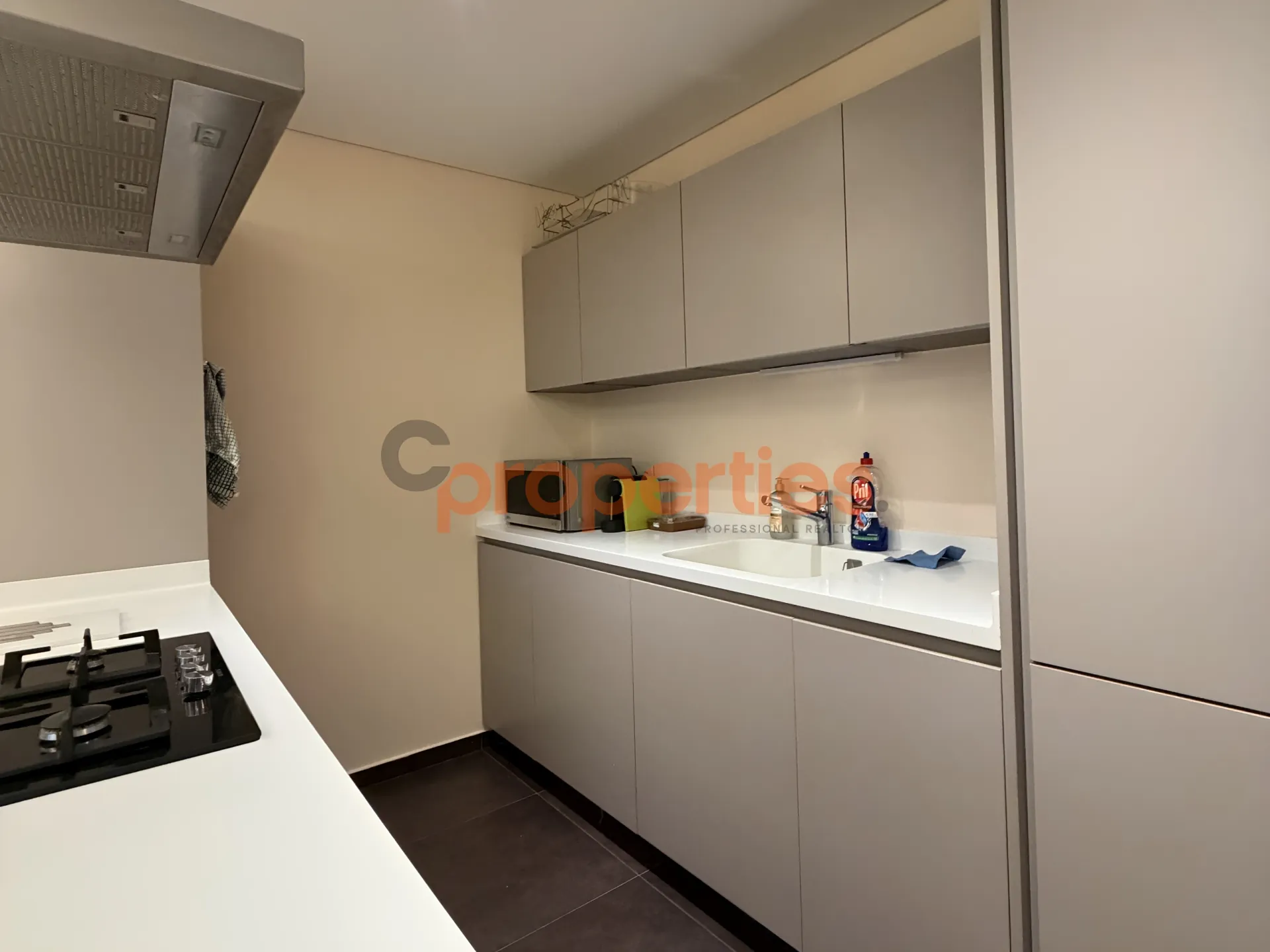 Apartment for Rent in Achrafieh