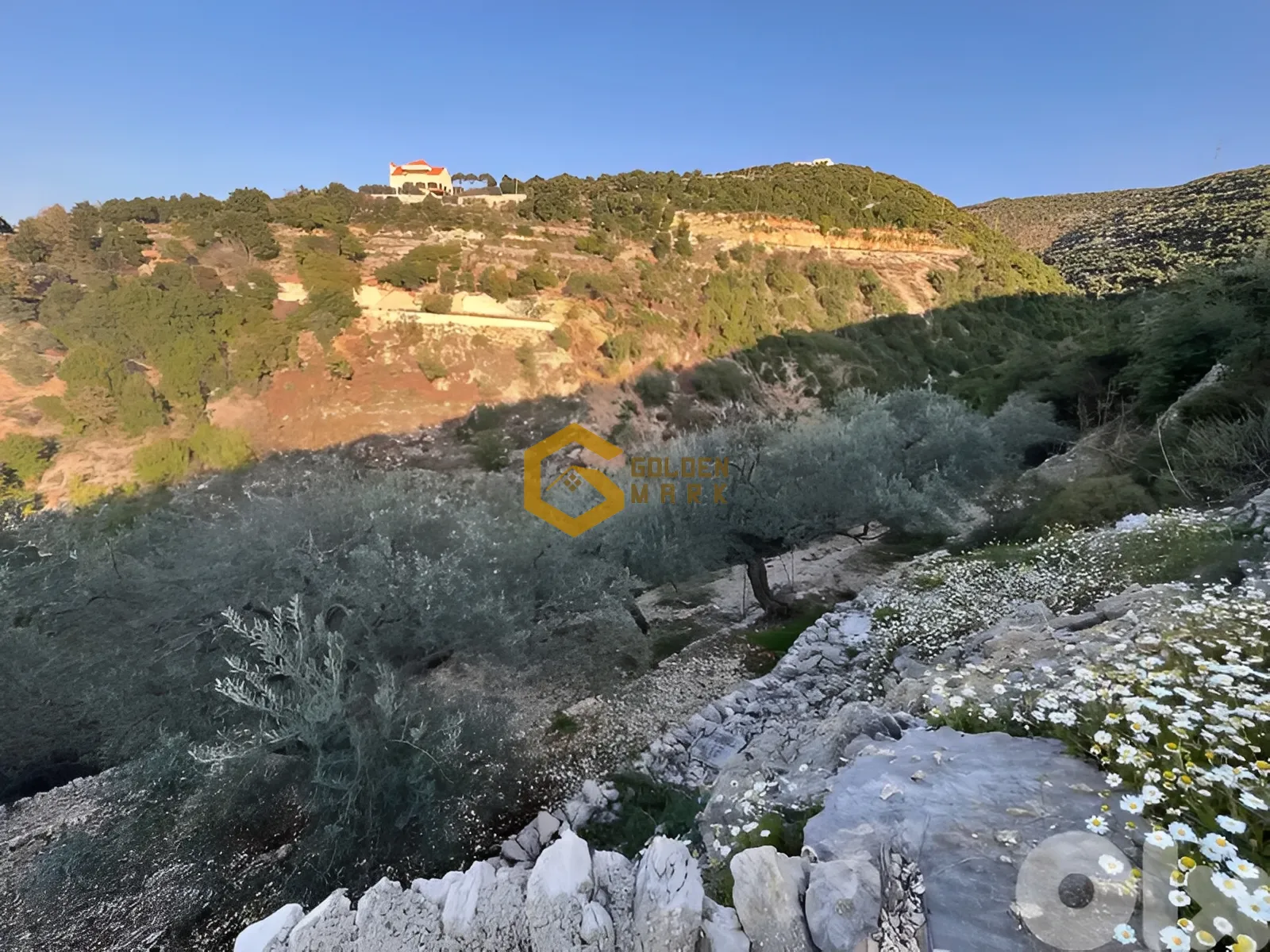 Land for Sale in Chabtine
