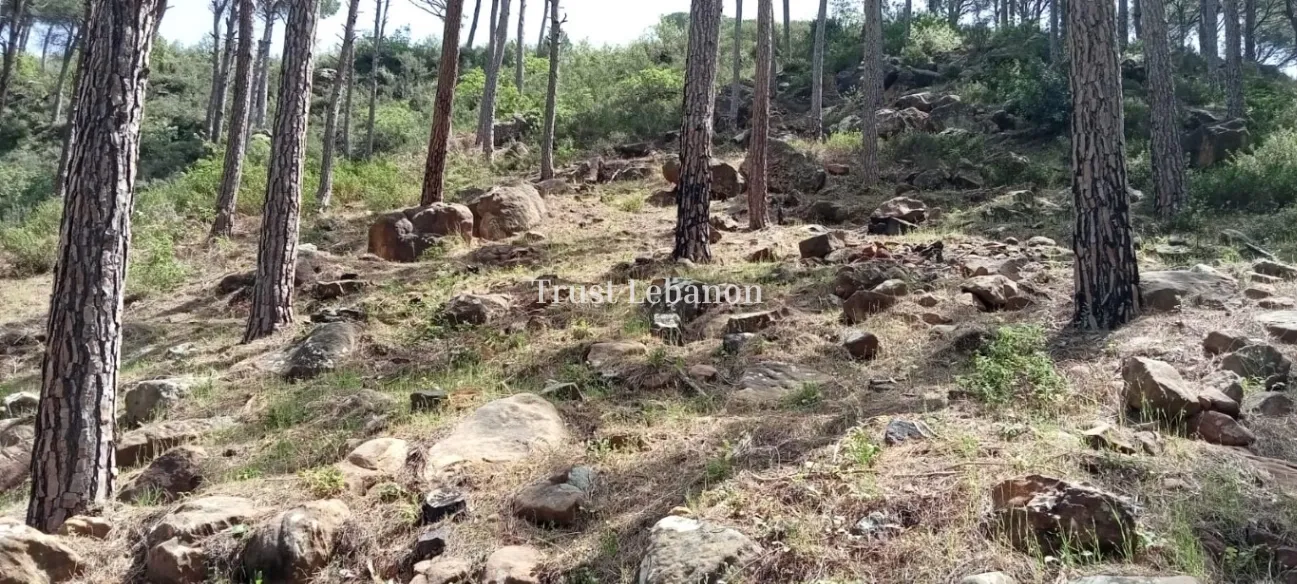 Residential Land for sale in Silfaya, Lebanon