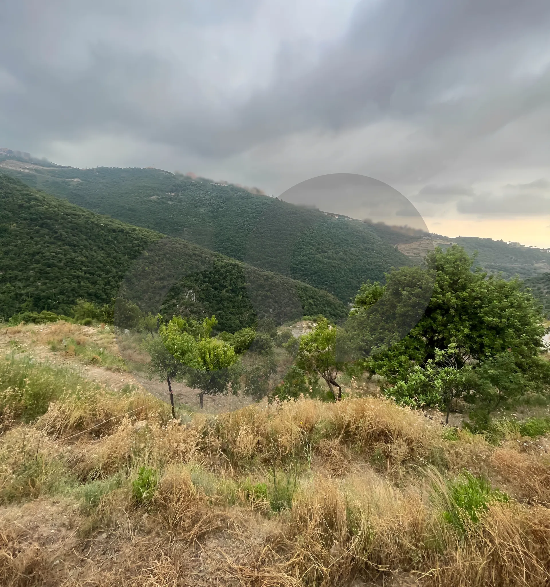 Land for Sale in Edde