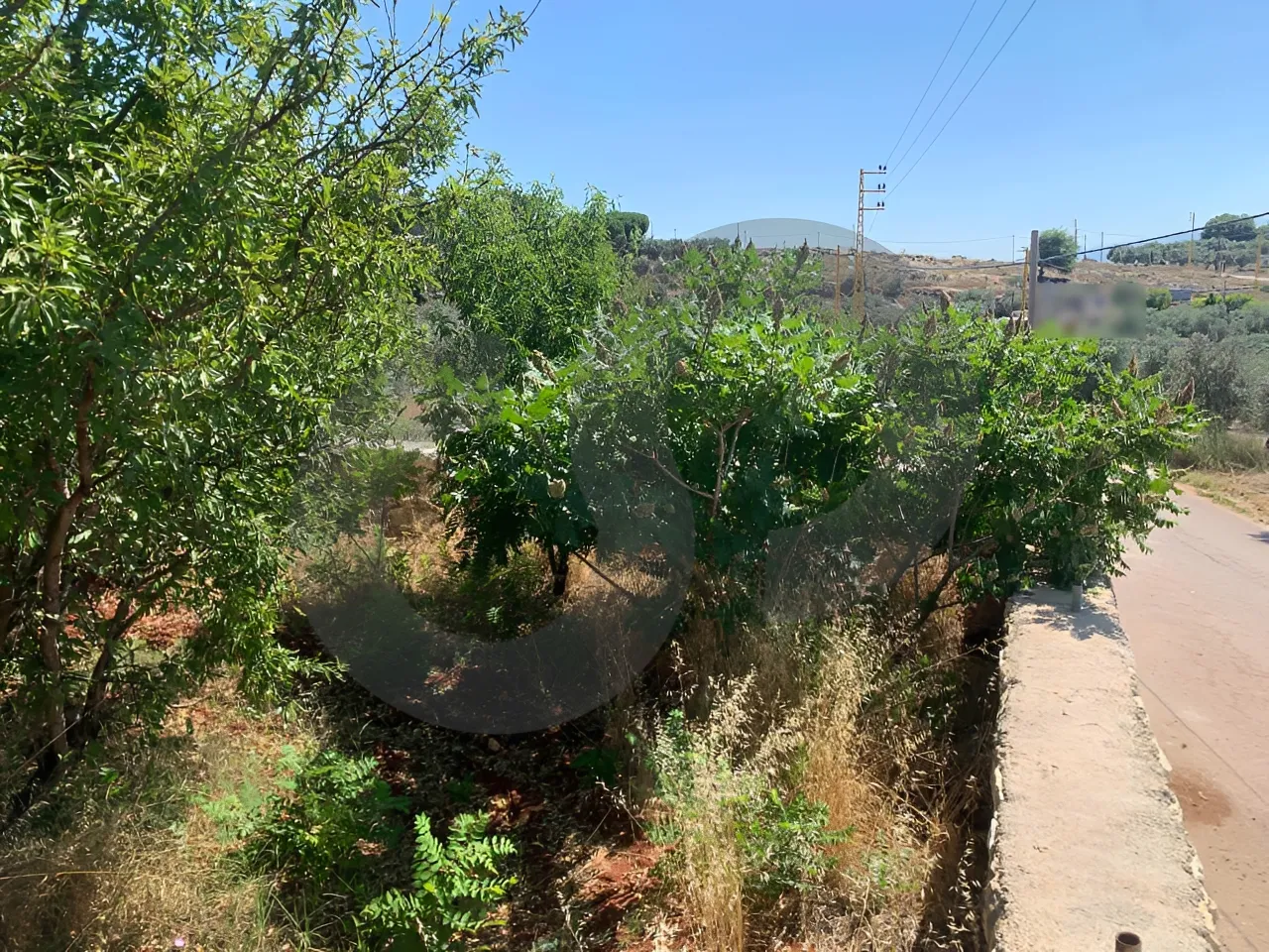 Land for Sale in Koura