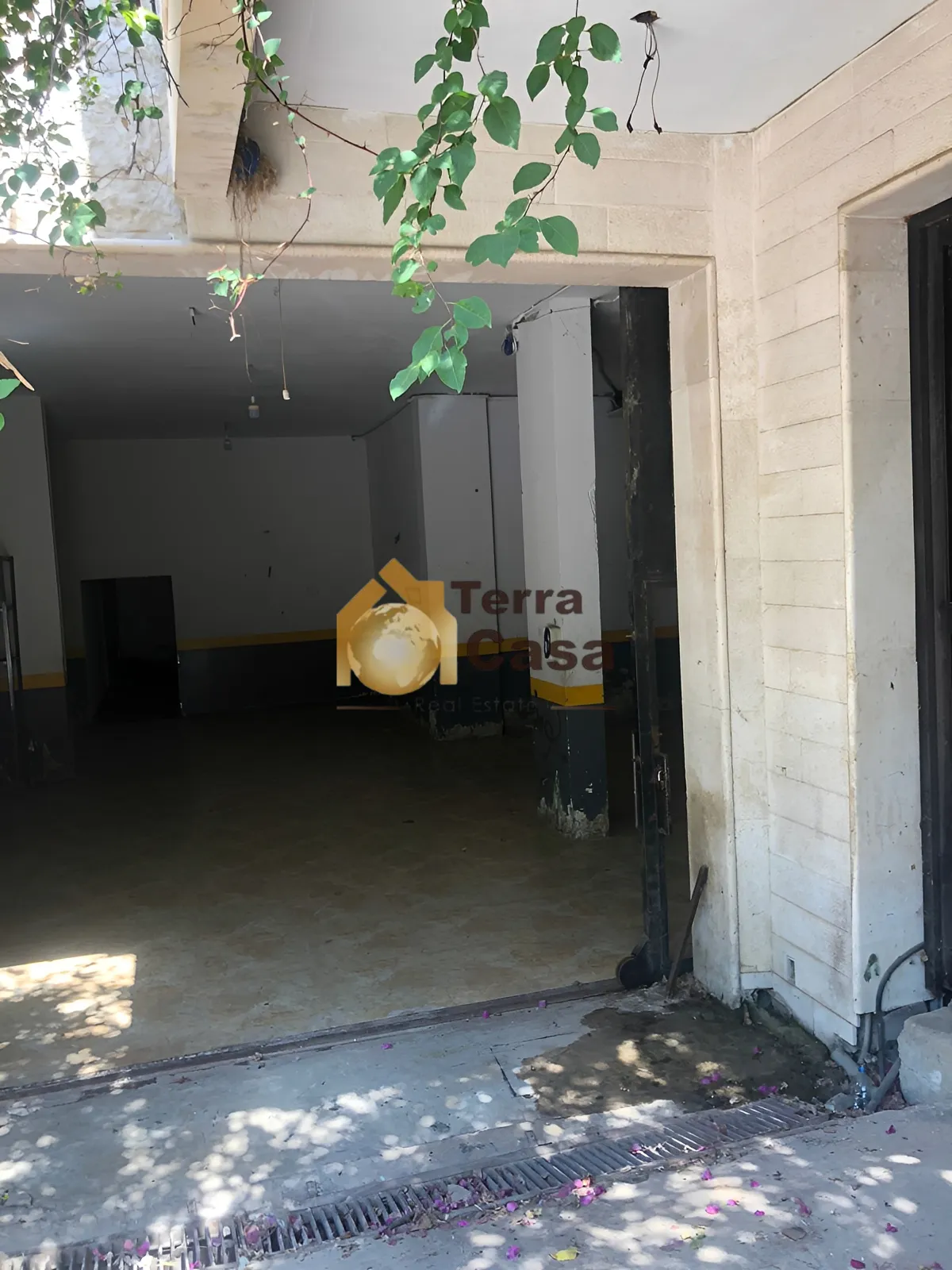 Warehouse for rent in Safra