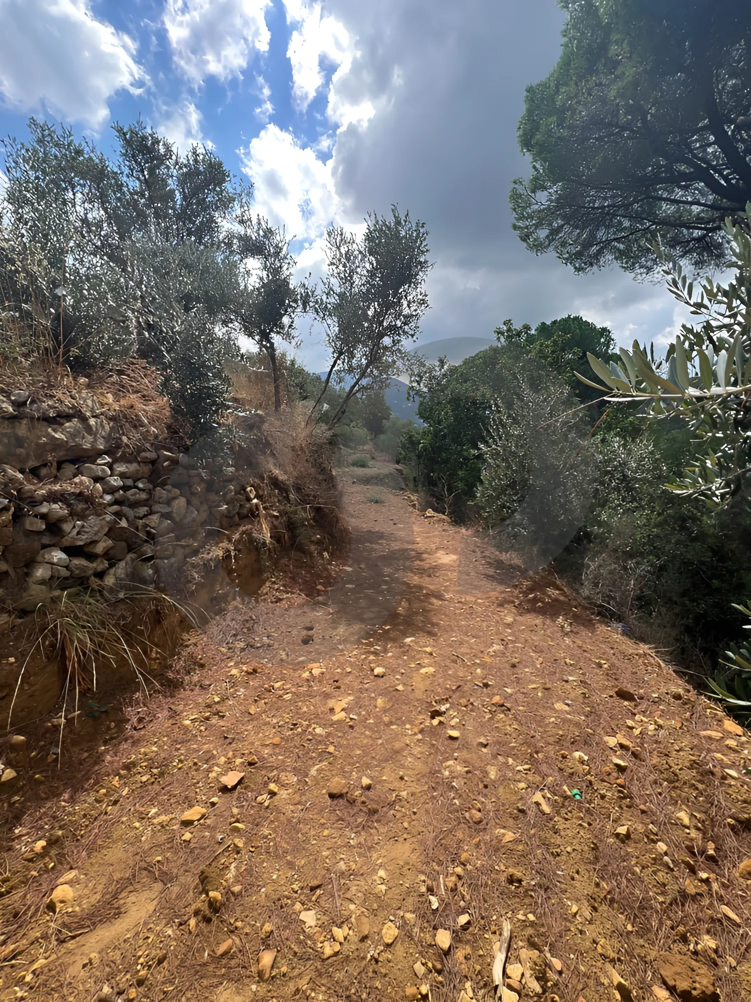 Land for Sale in Aley