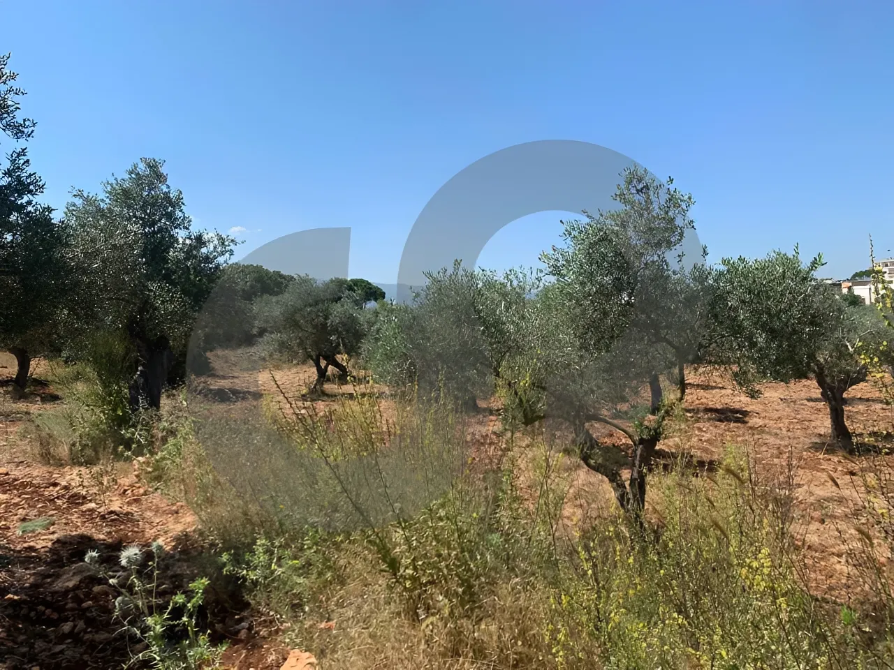 Land for Sale in Koura
