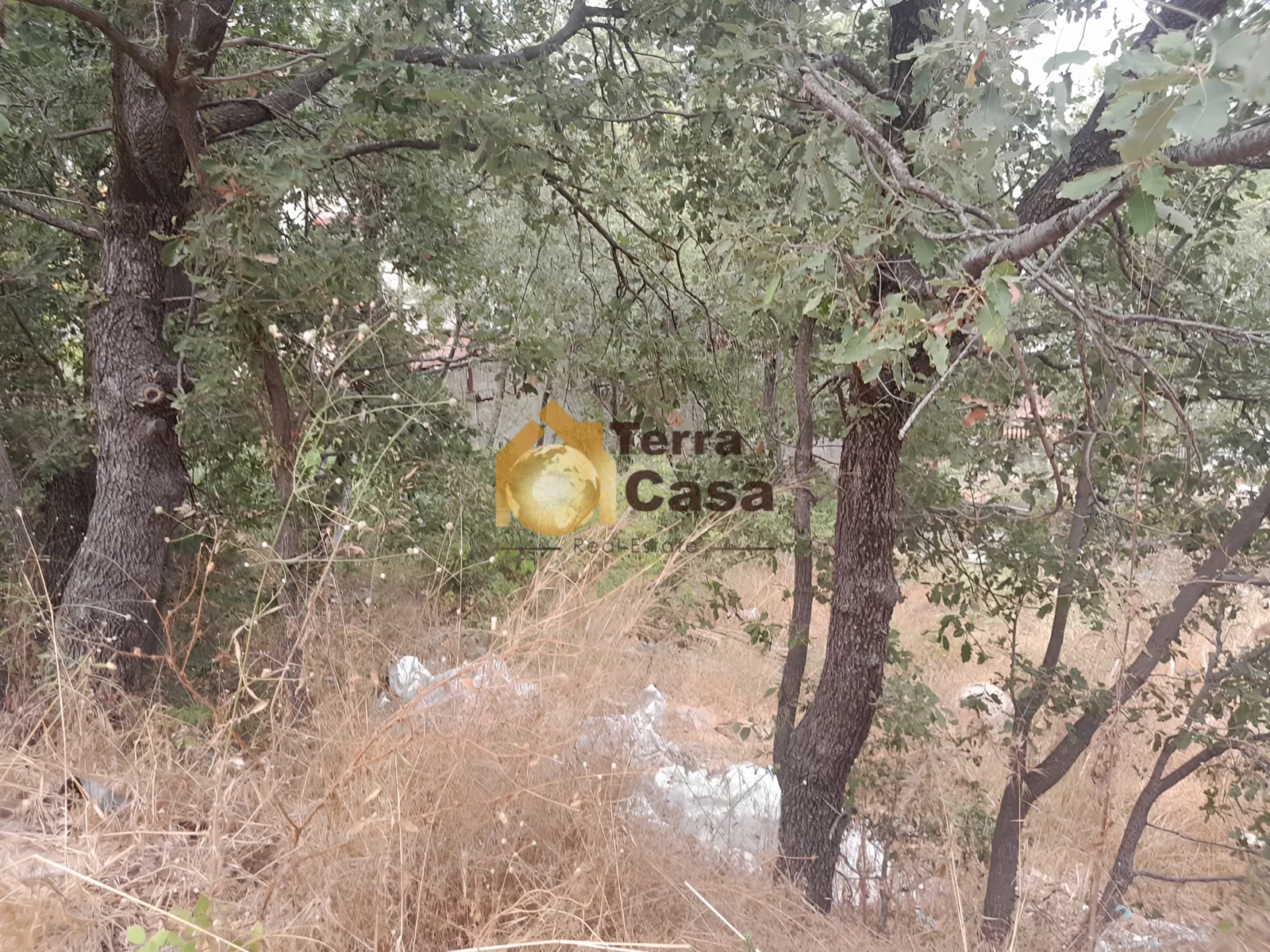 Land for sale in Klayaat, Lebanon