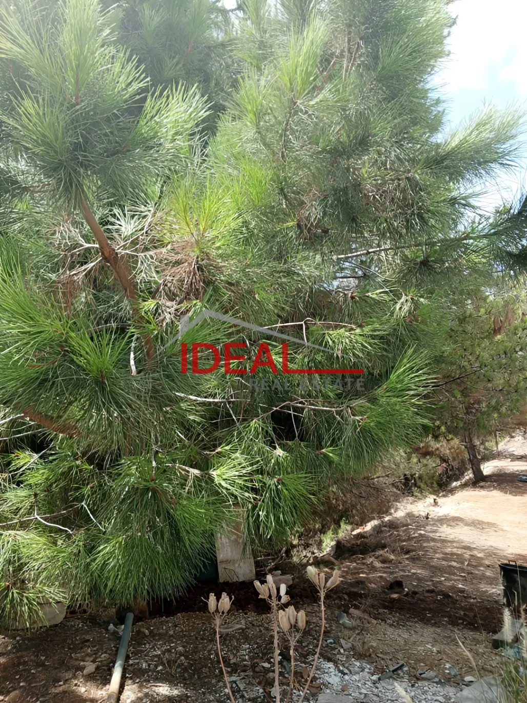 Residential Land for sale in Adma w Dafnah, Lebanon