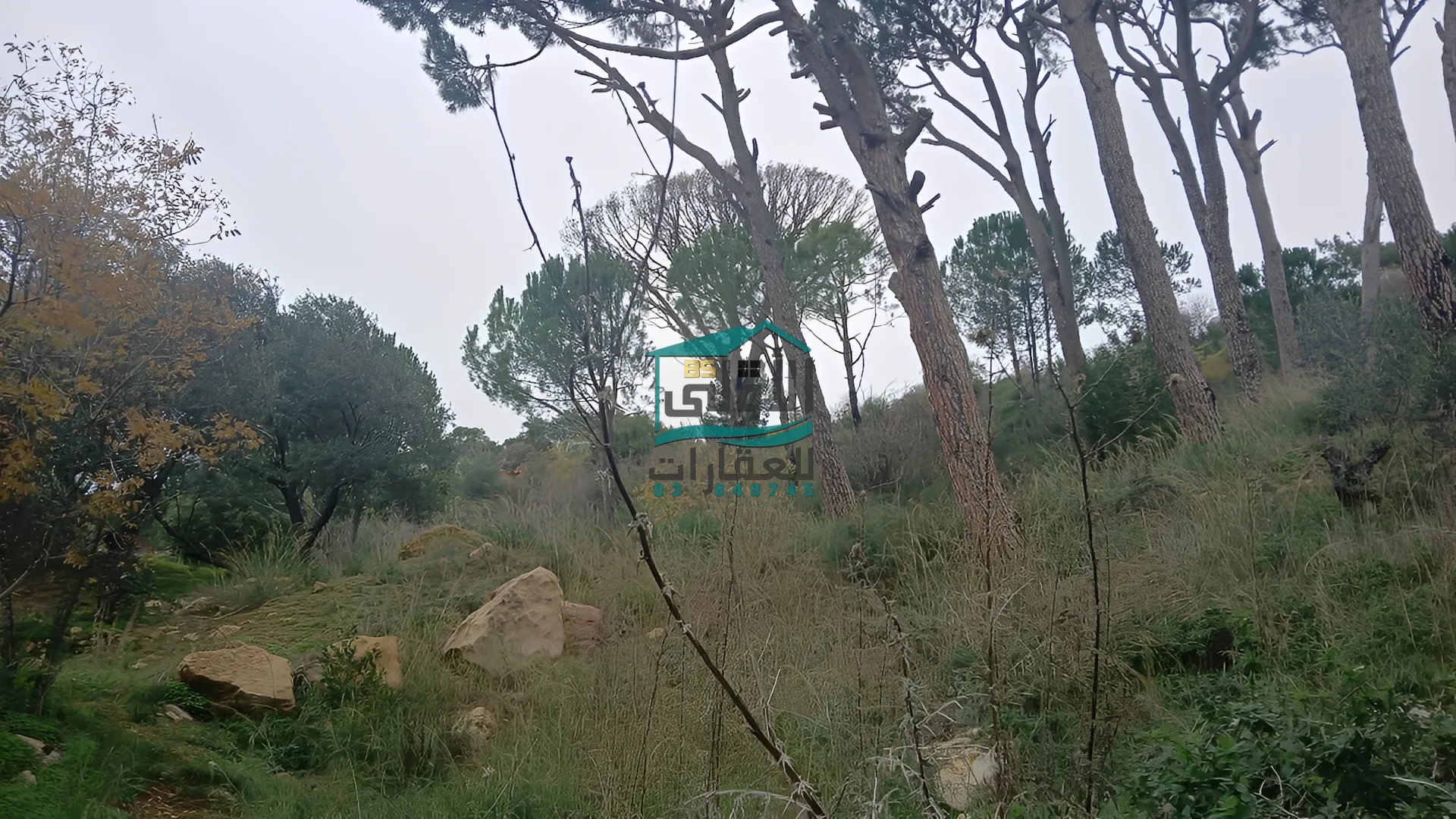 Land in Daqqoun, lebanon