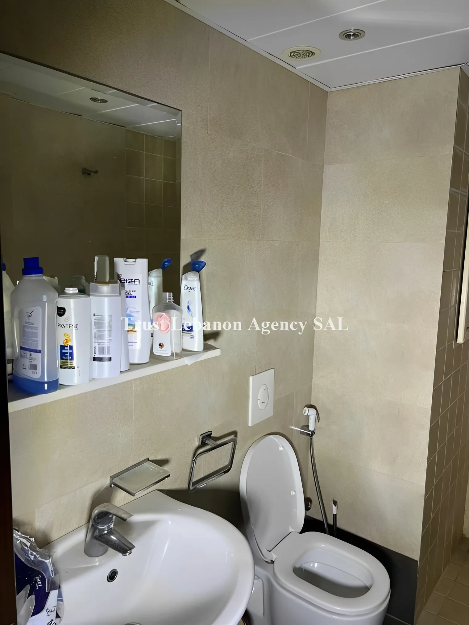Chalet for Sale in Chouf Jiyeh Lebanon