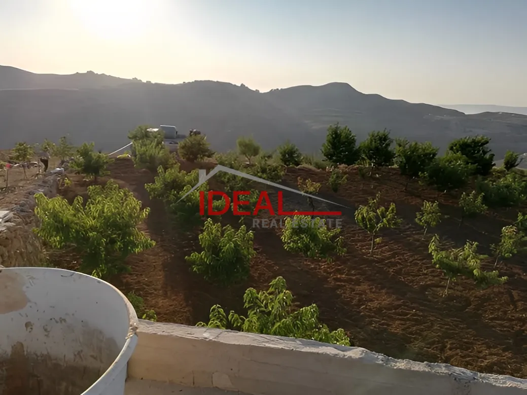 Land for Sale in Ain Dara, Lebanon