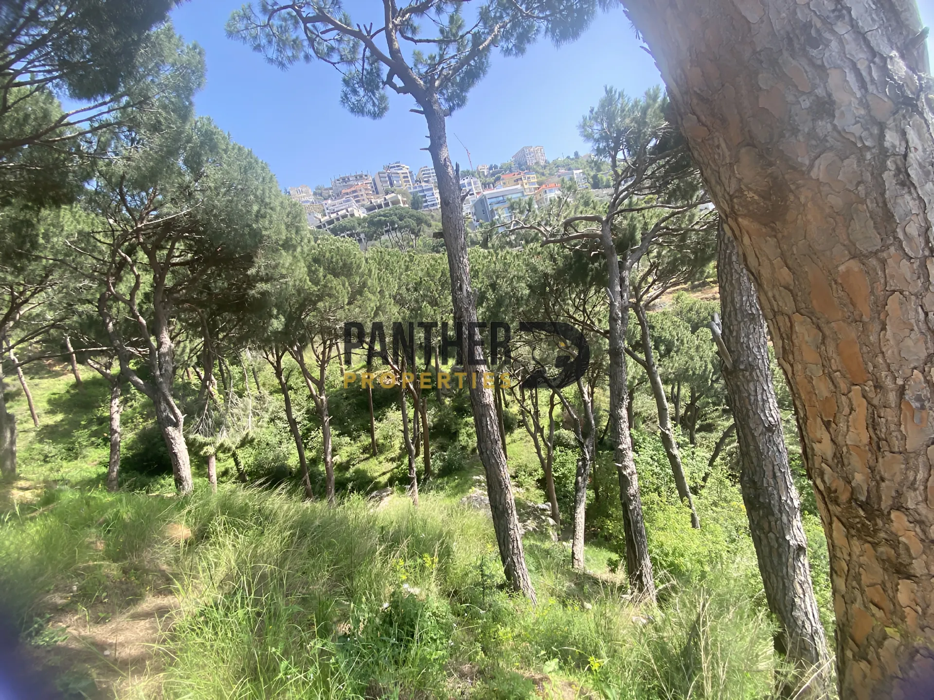 Land for sale in Ain saadeh, lebanon