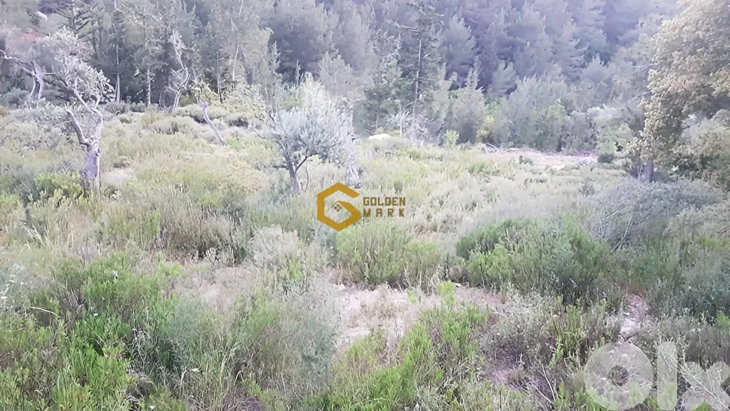 Land for Sale in Zgharta